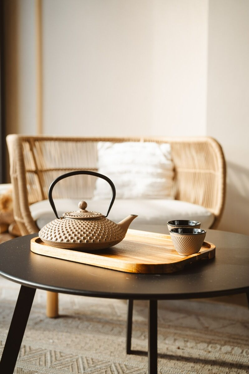 1x2 Bredemeijer Tea Cups Xilin Cast Iron camel