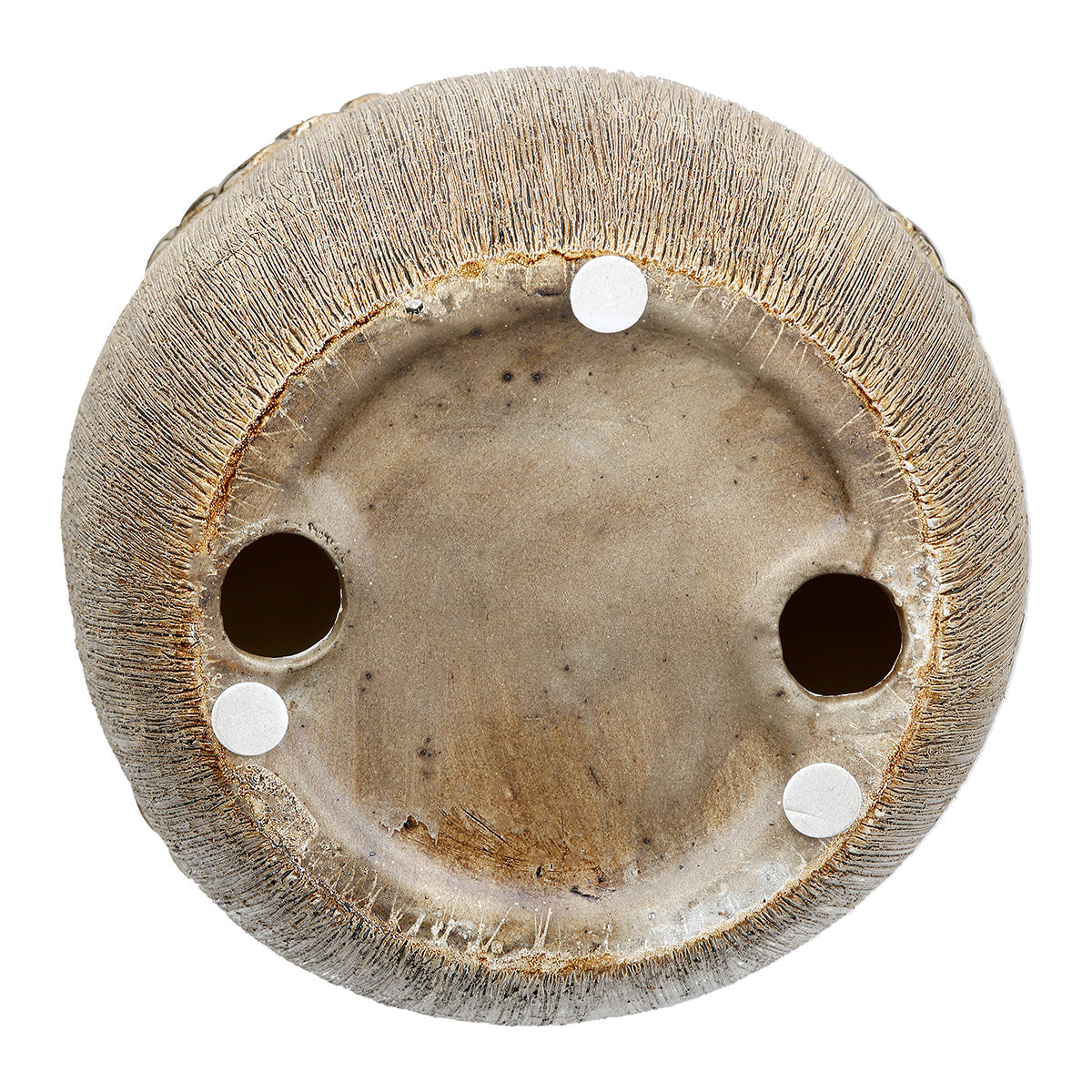 Decoratieve Appel Lausanne 15.5 cm