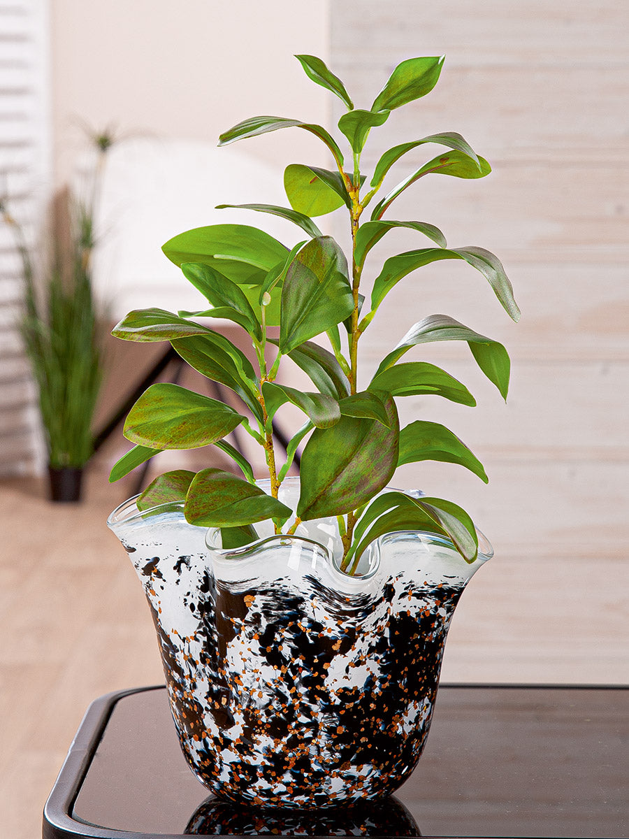 Petunia glazen vaas zwart-wit