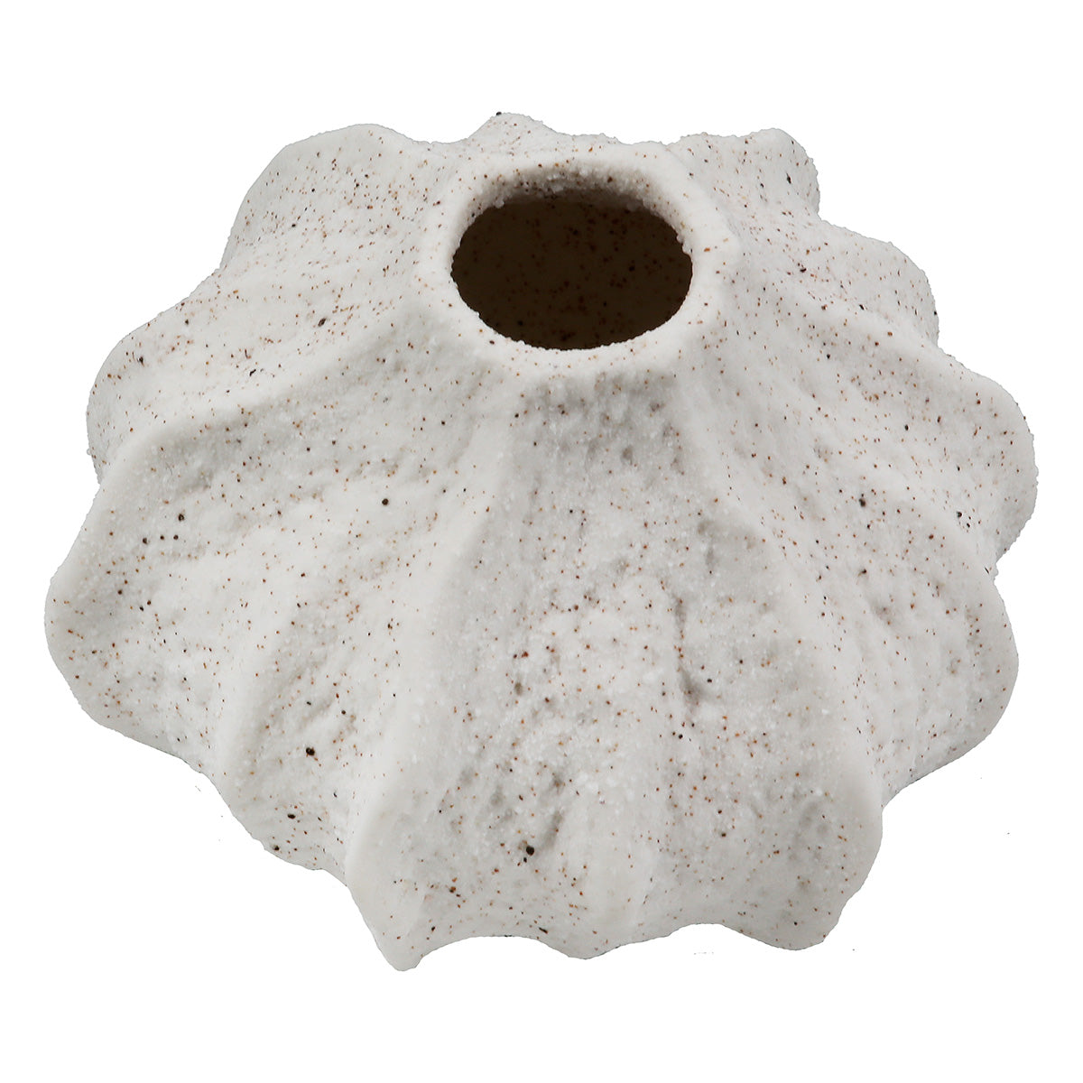 Corallo Bolvaas Crème Porselein 6 cm