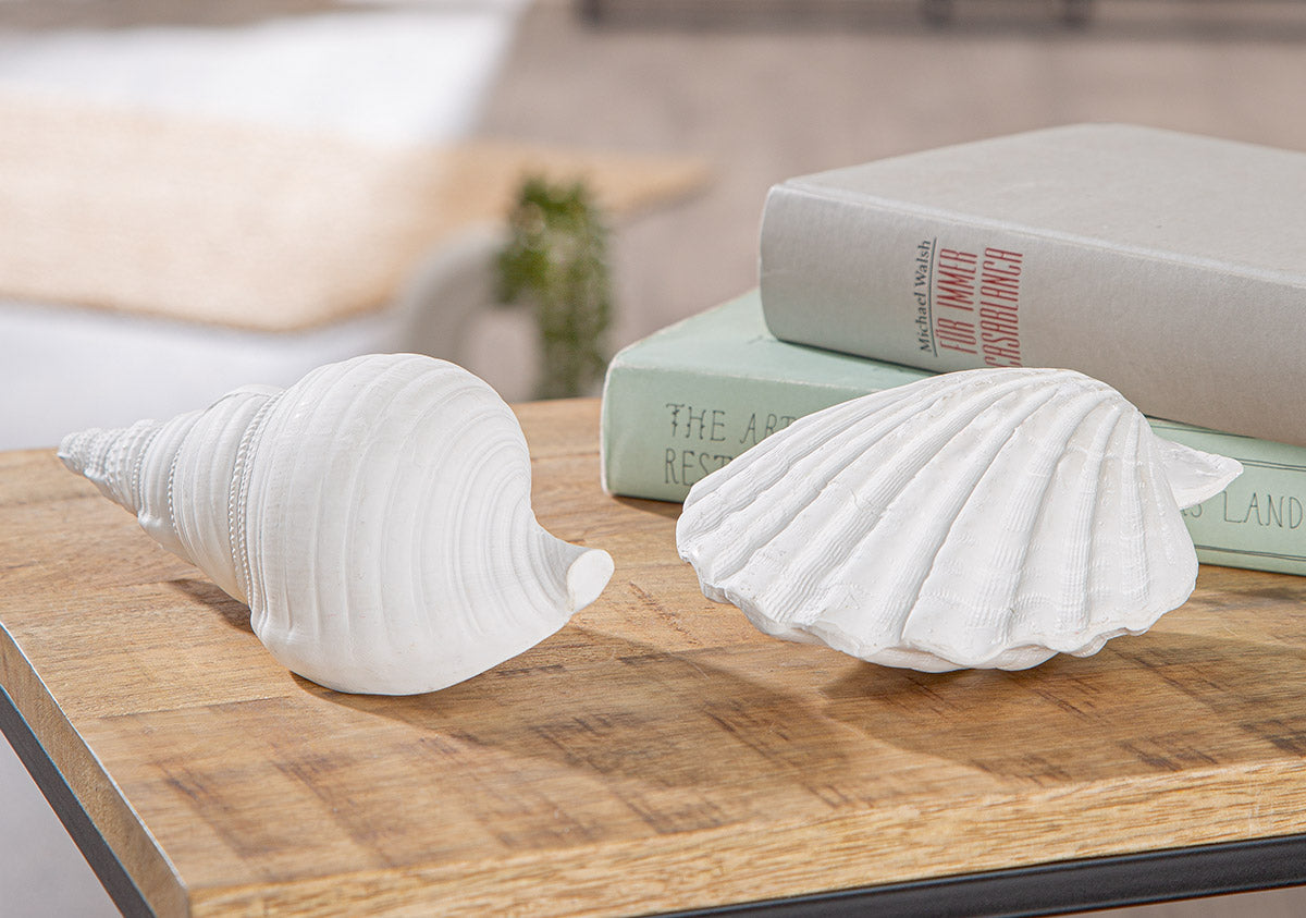Vintage Schelp Decoratie Wit