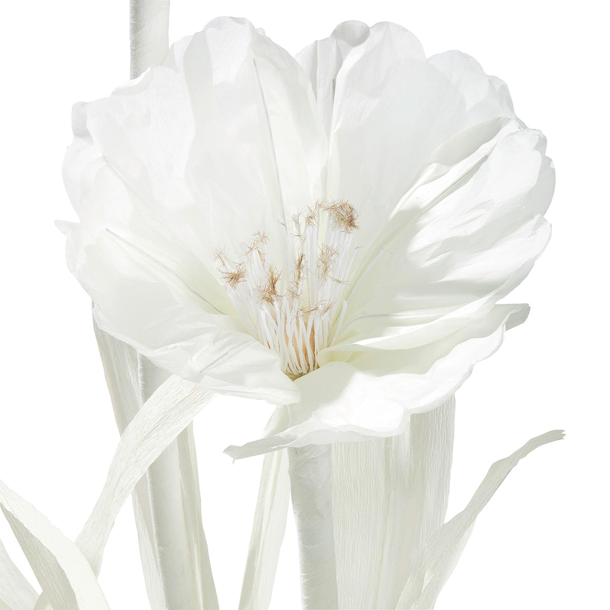 Witte Papieren Bloem Decoratie