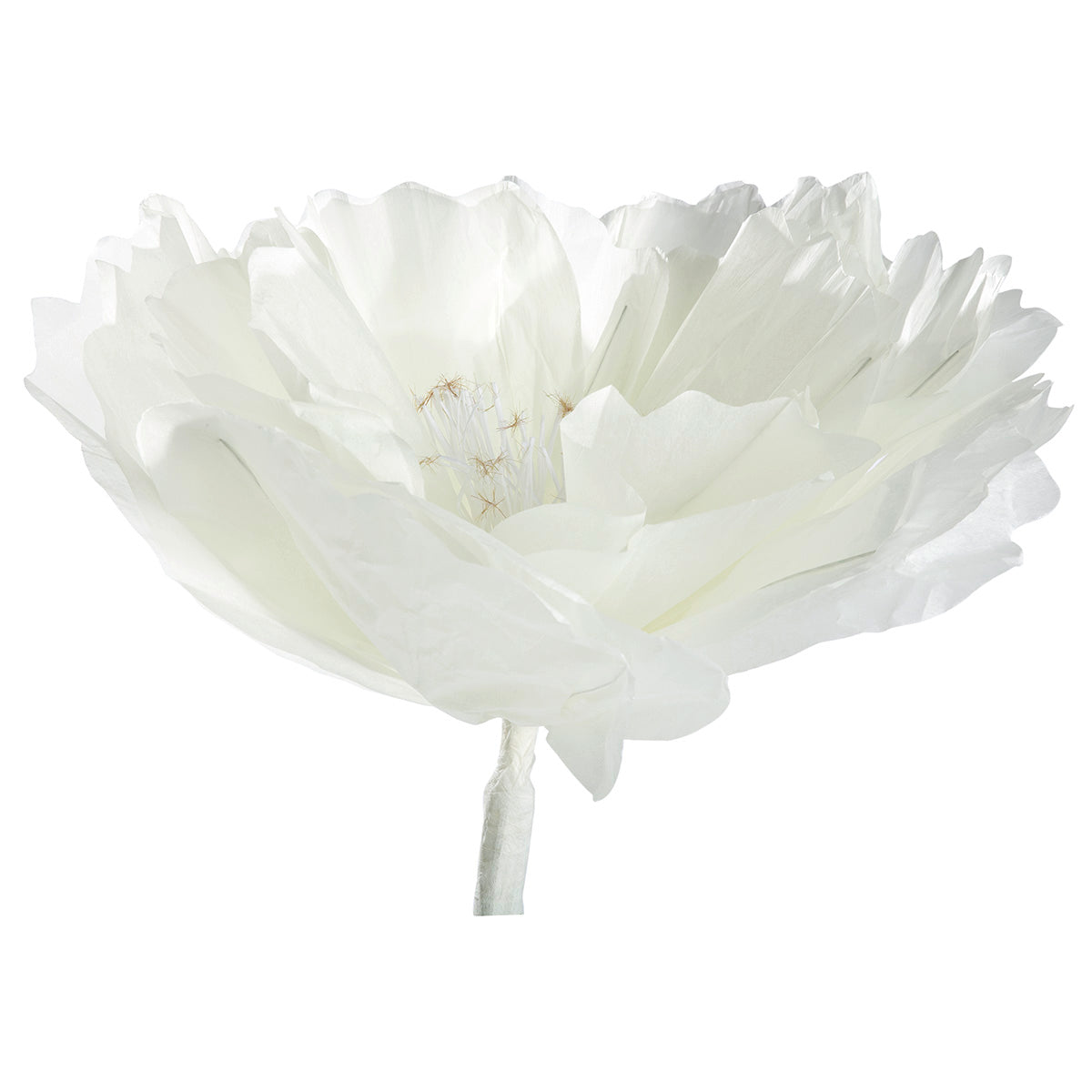 Witte Papieren Bloem Decoratie