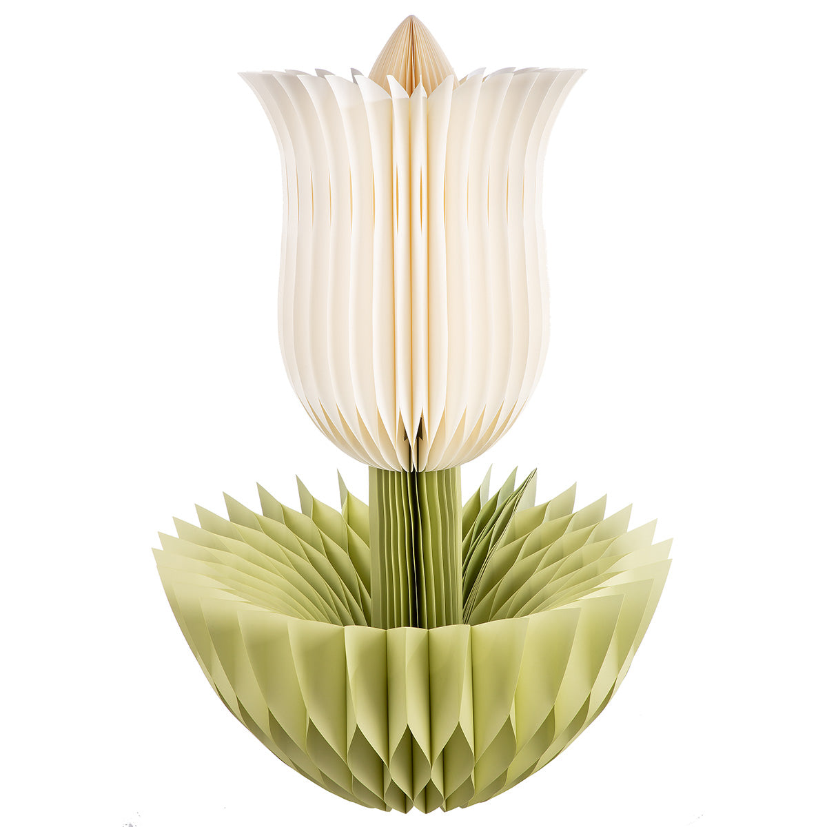 Grote Papieren Tulp Crème 116 cm