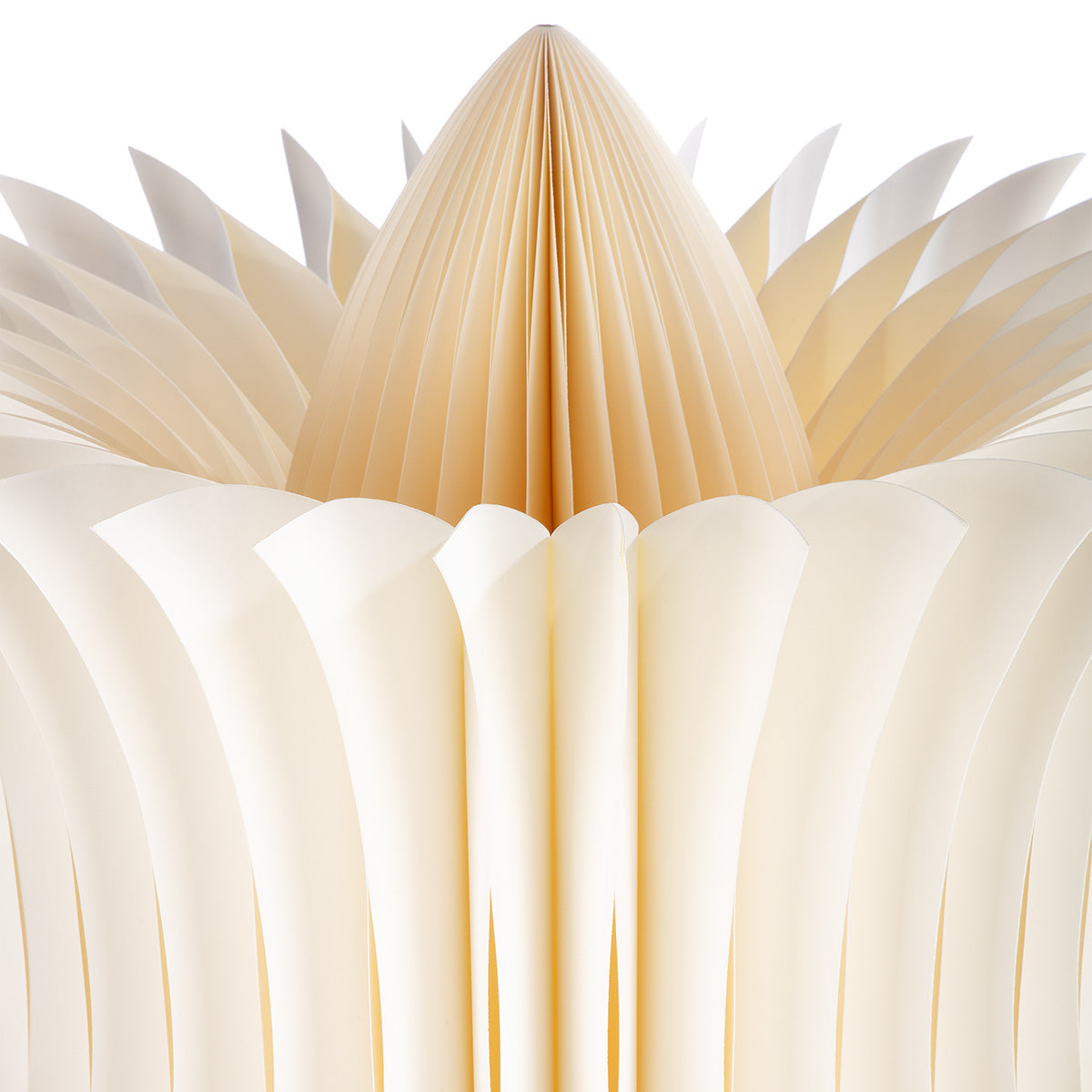 Grote Papieren Tulp Crème 116 cm