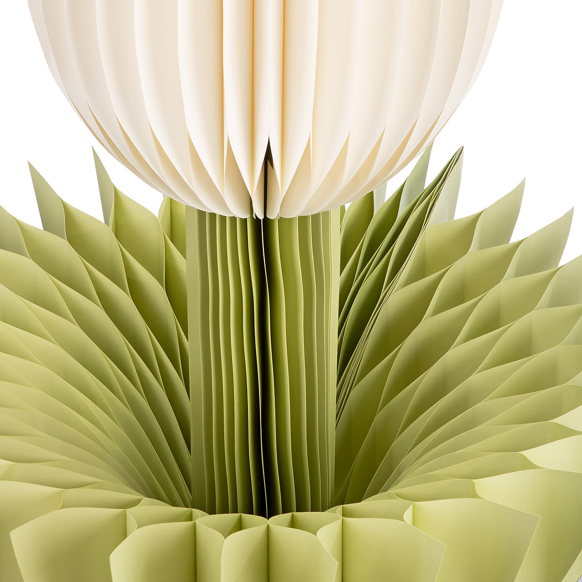 Grote Papieren Tulp Crème 116 cm