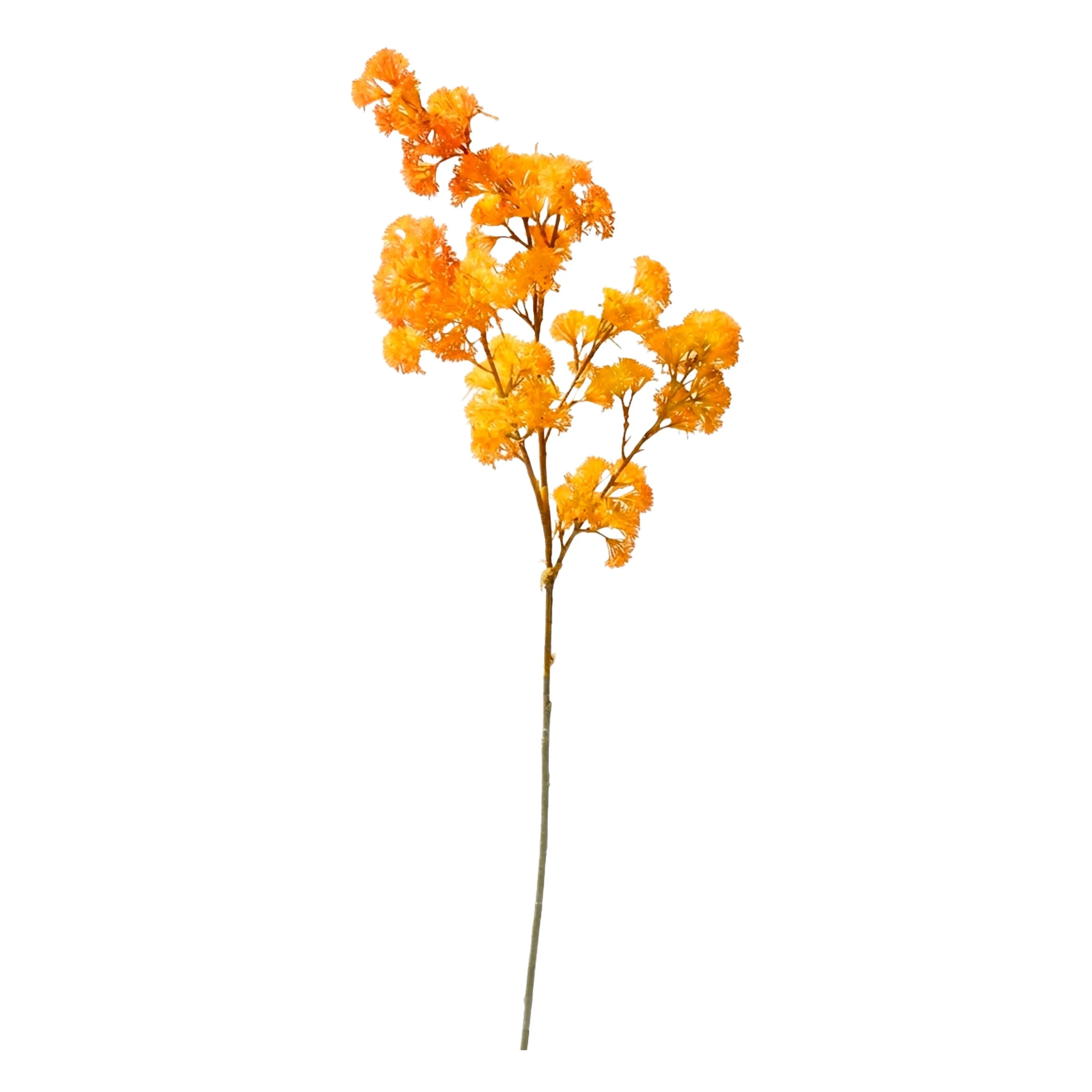 Wisteria Oranje 95cm