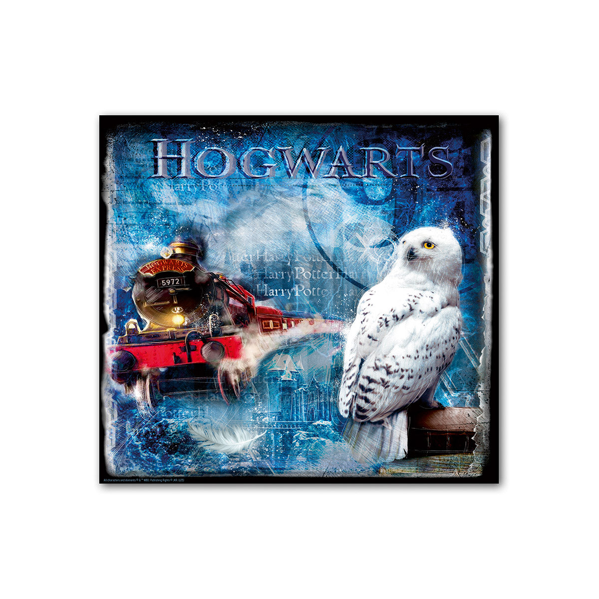 Harry Potter Hedwig schilderij 70 cm