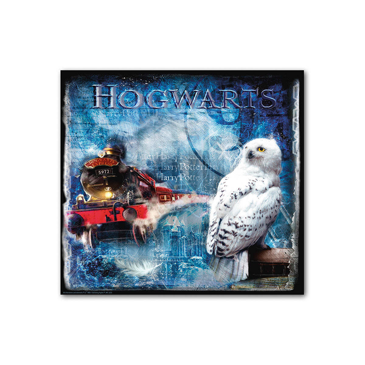 Harry Potter Hedwig schilderij 70 cm