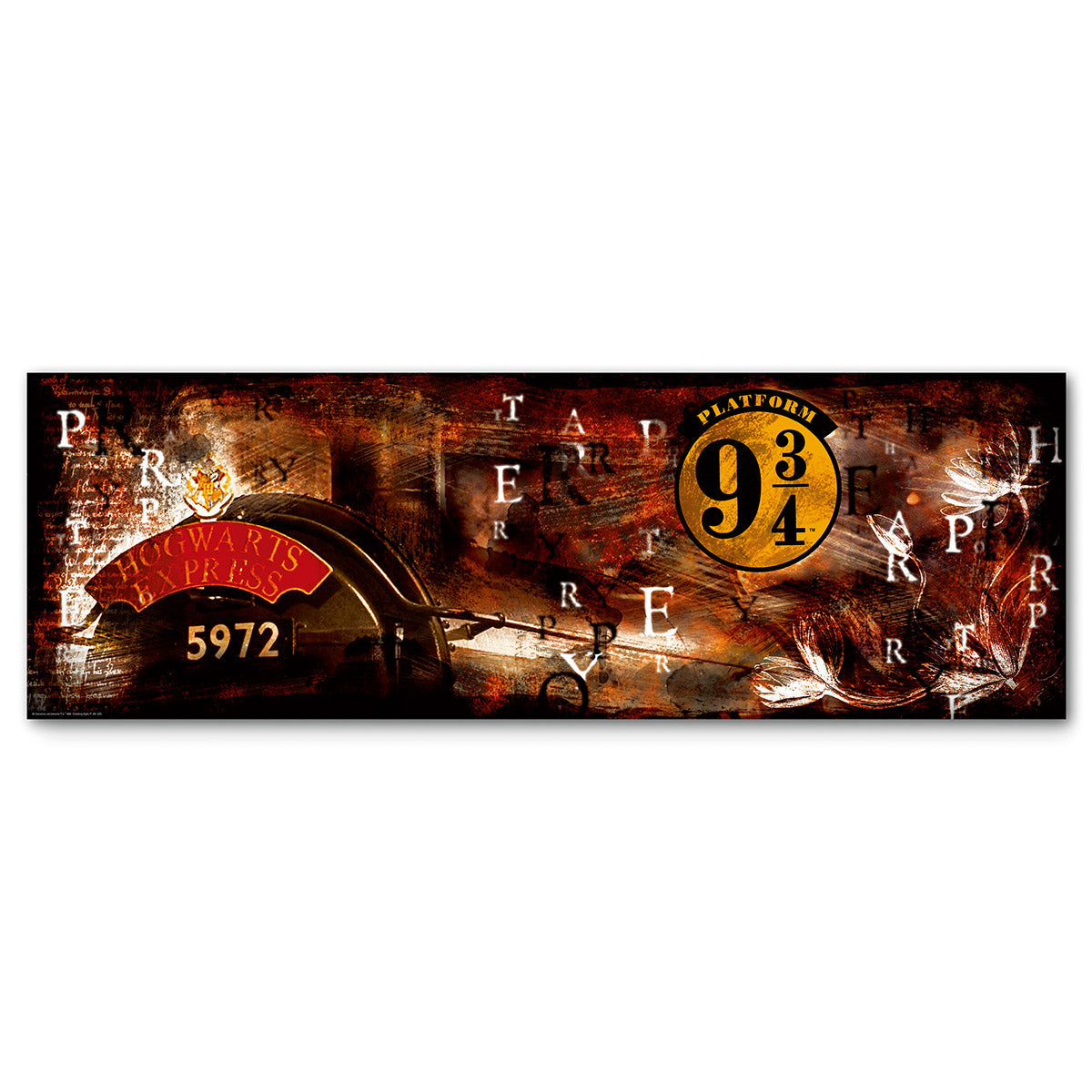 Harry Potter Perron 9¾ schilderij