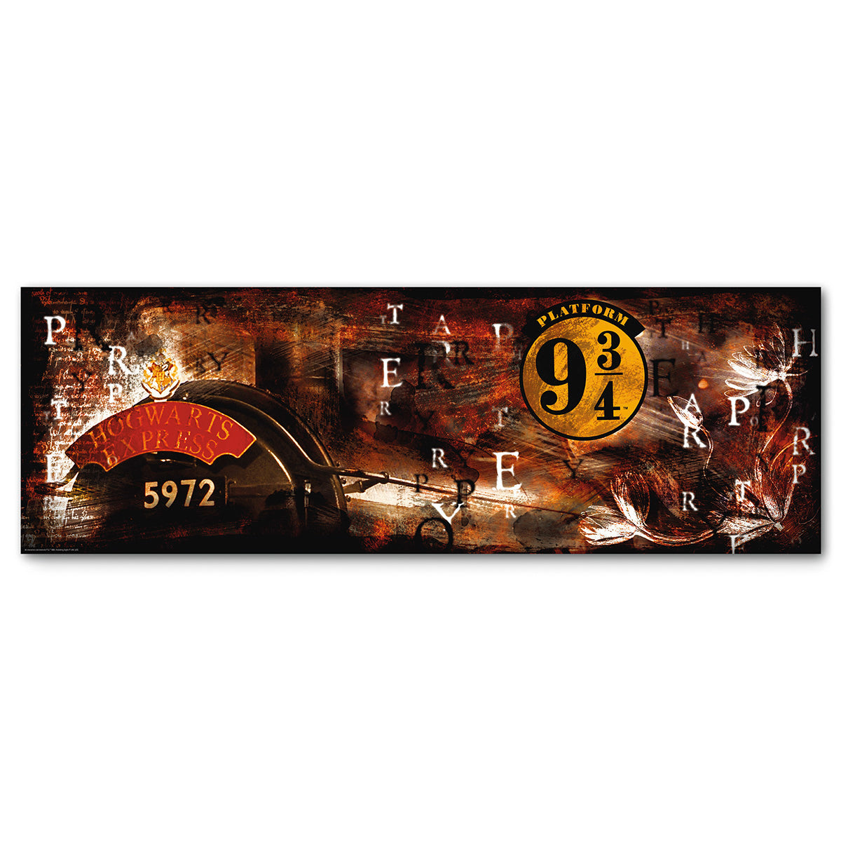 Harry Potter Perron 9¾ schilderij