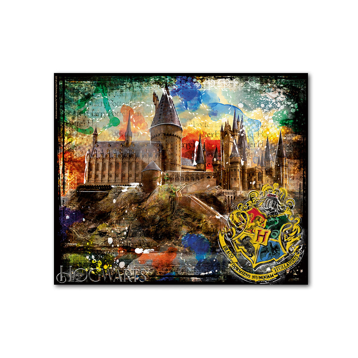 Harry Potter Hogwarts schilderij 100 cm