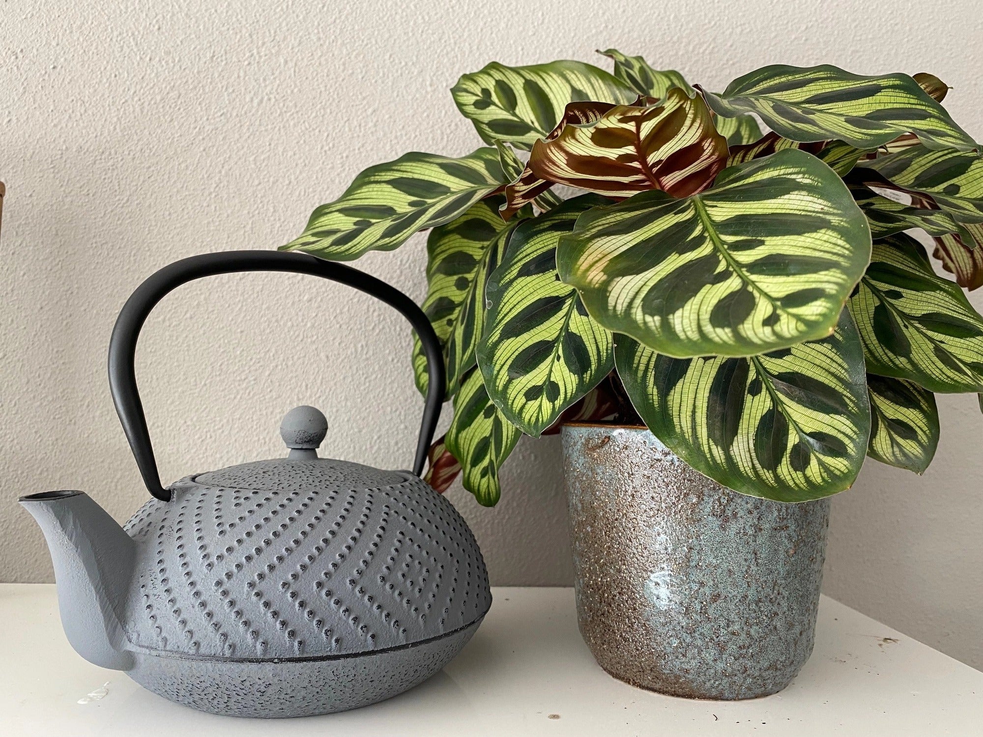 Bredemeijer Teapot Fujian 1,2l Cast Iron dark grey