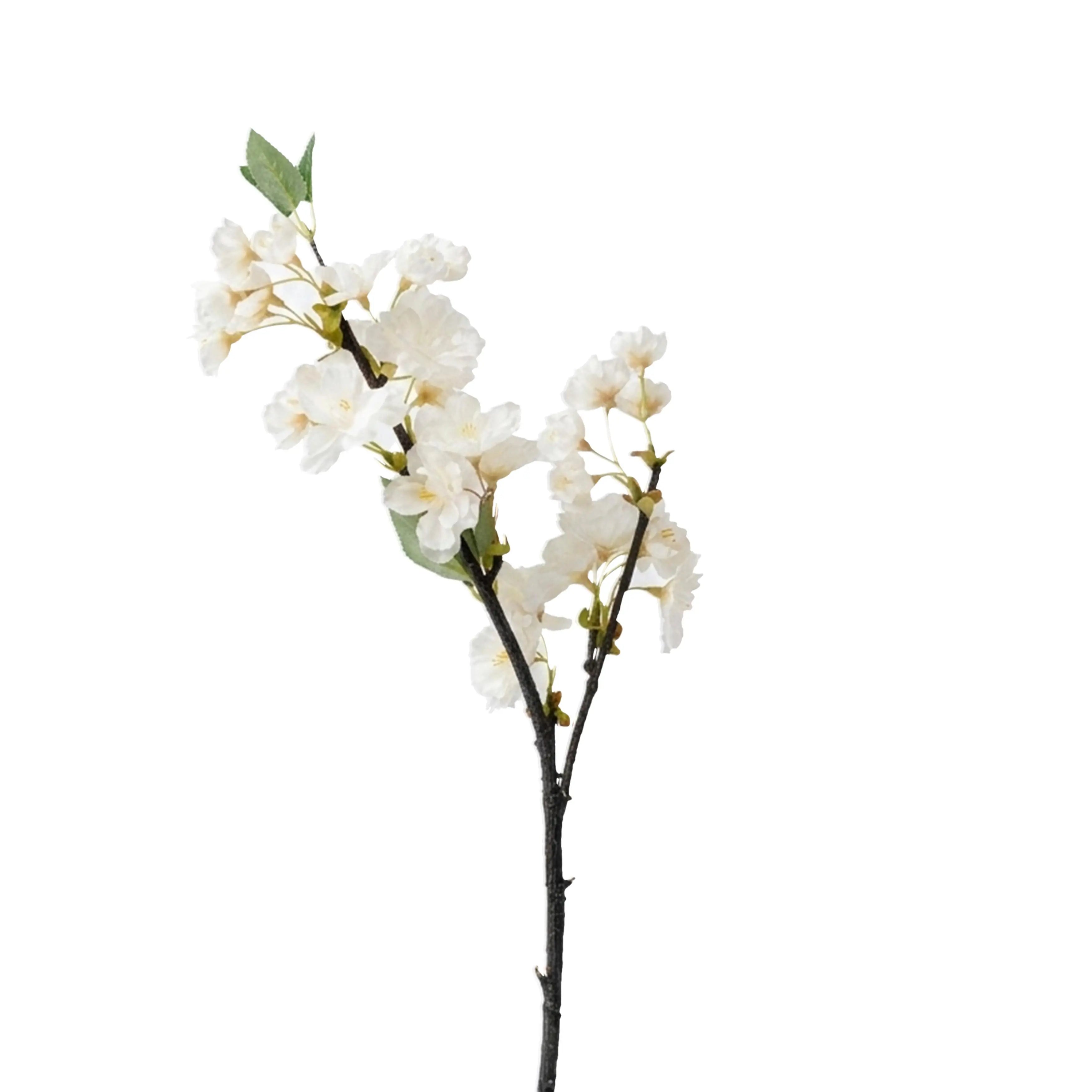 Cherry Blossom Wit 49cm