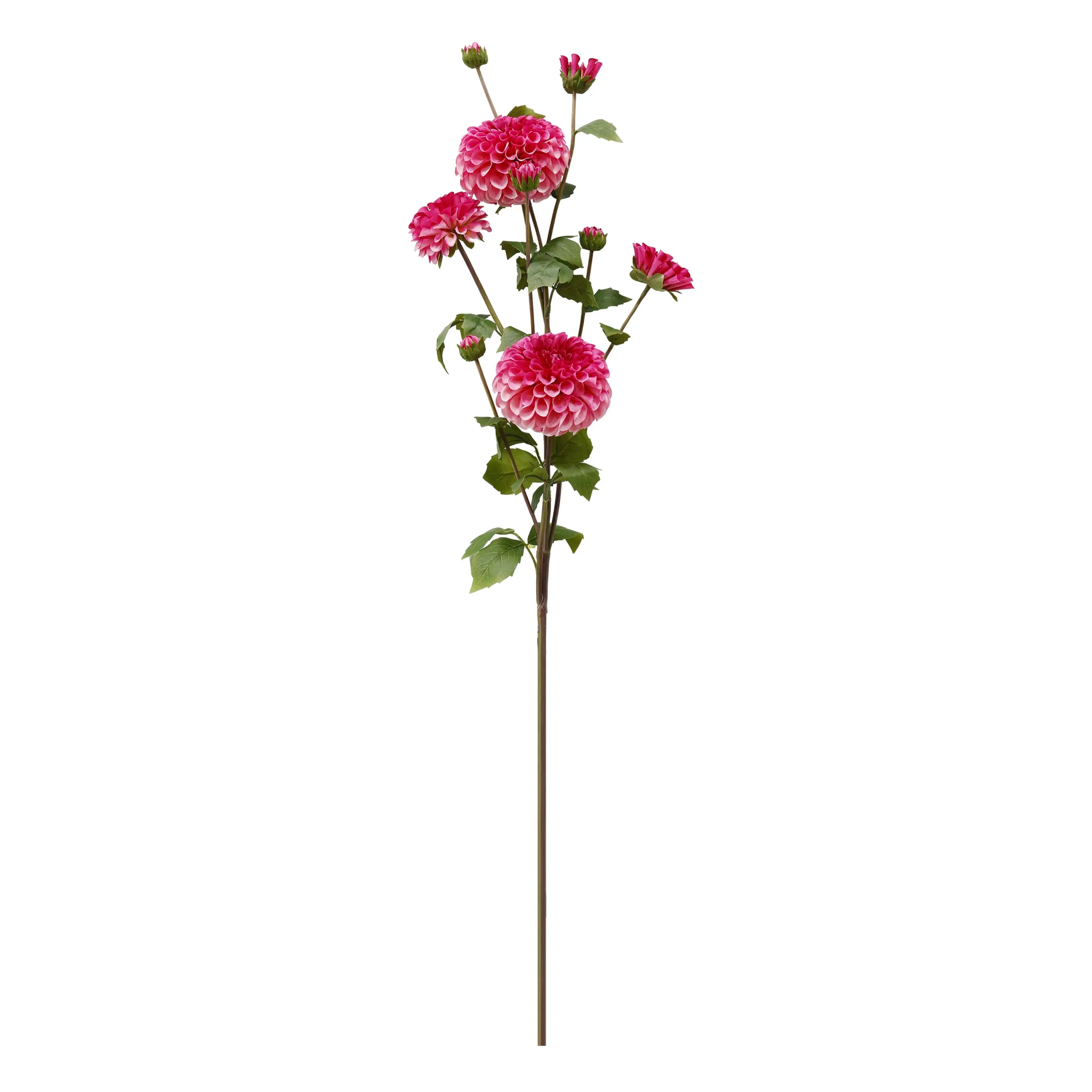 Dahlia Roze 114cm