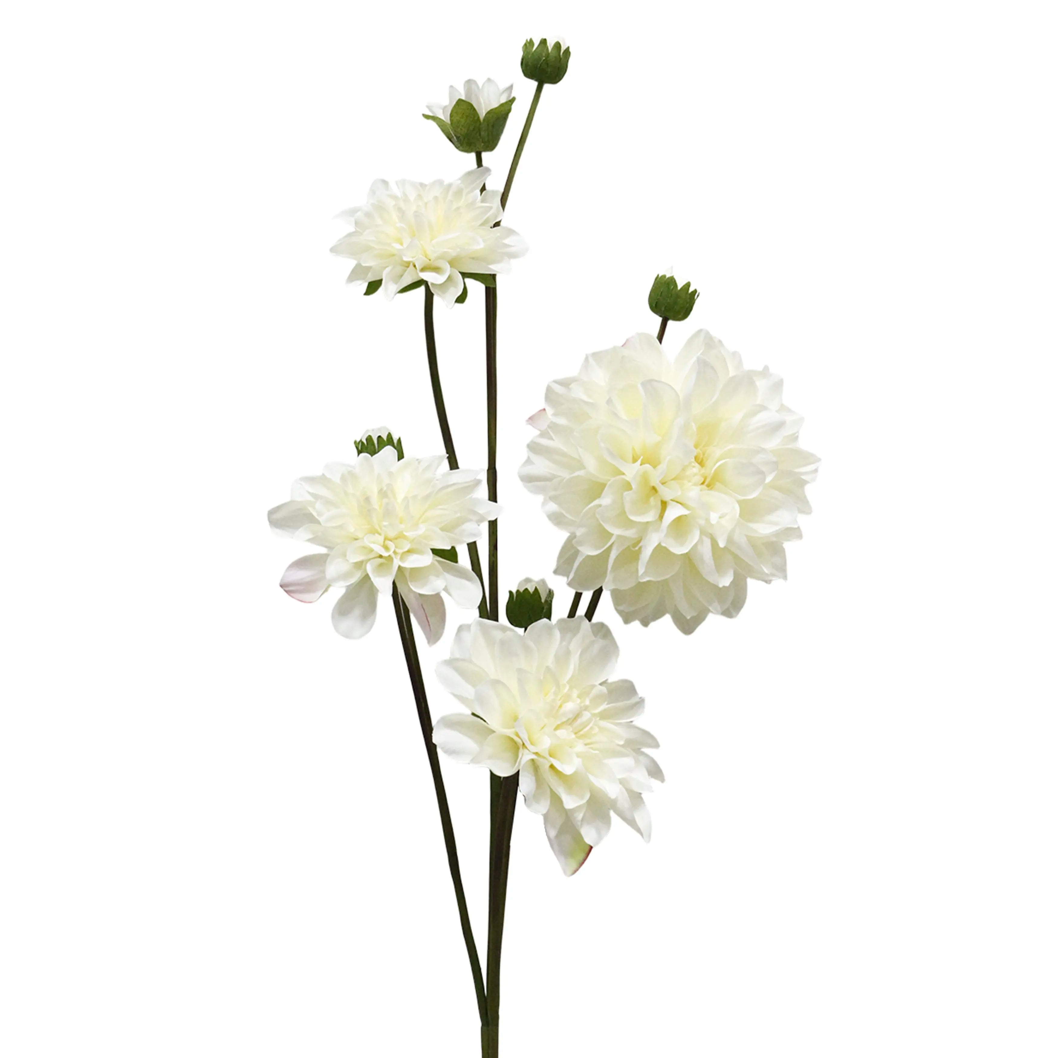 Dahlia Wit 114cm