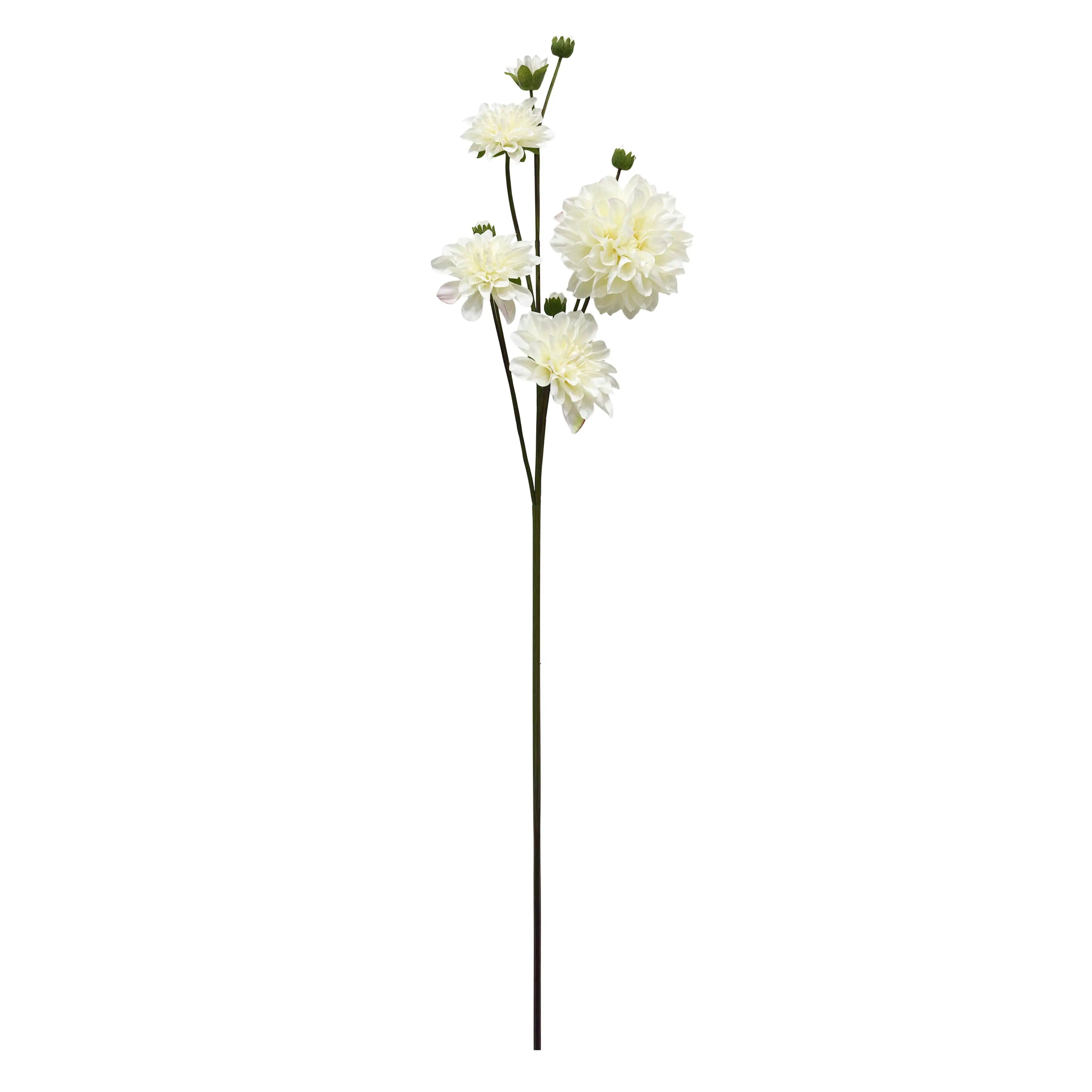 Dahlia Wit 114cm