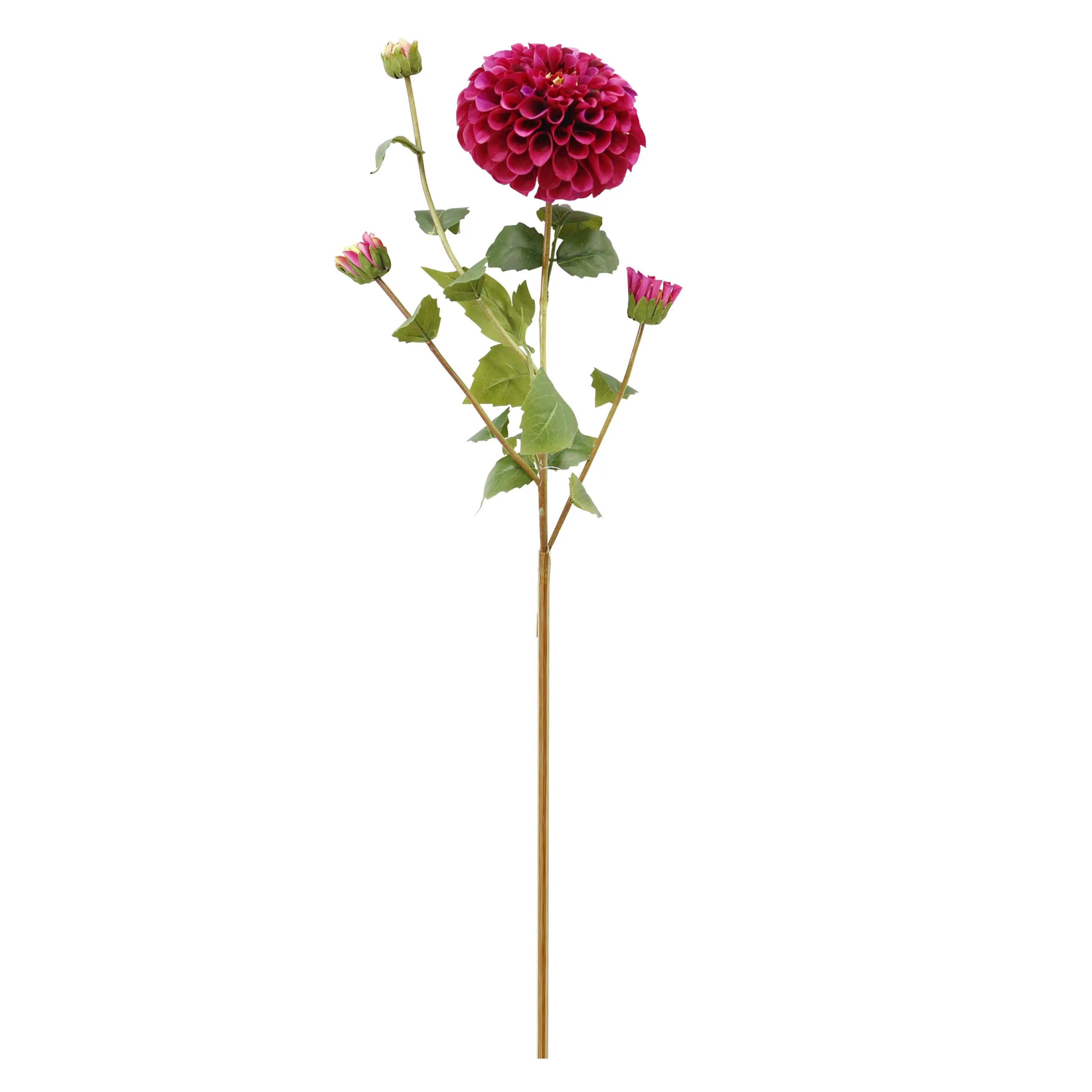 Dahlia Donkerroze 77cm