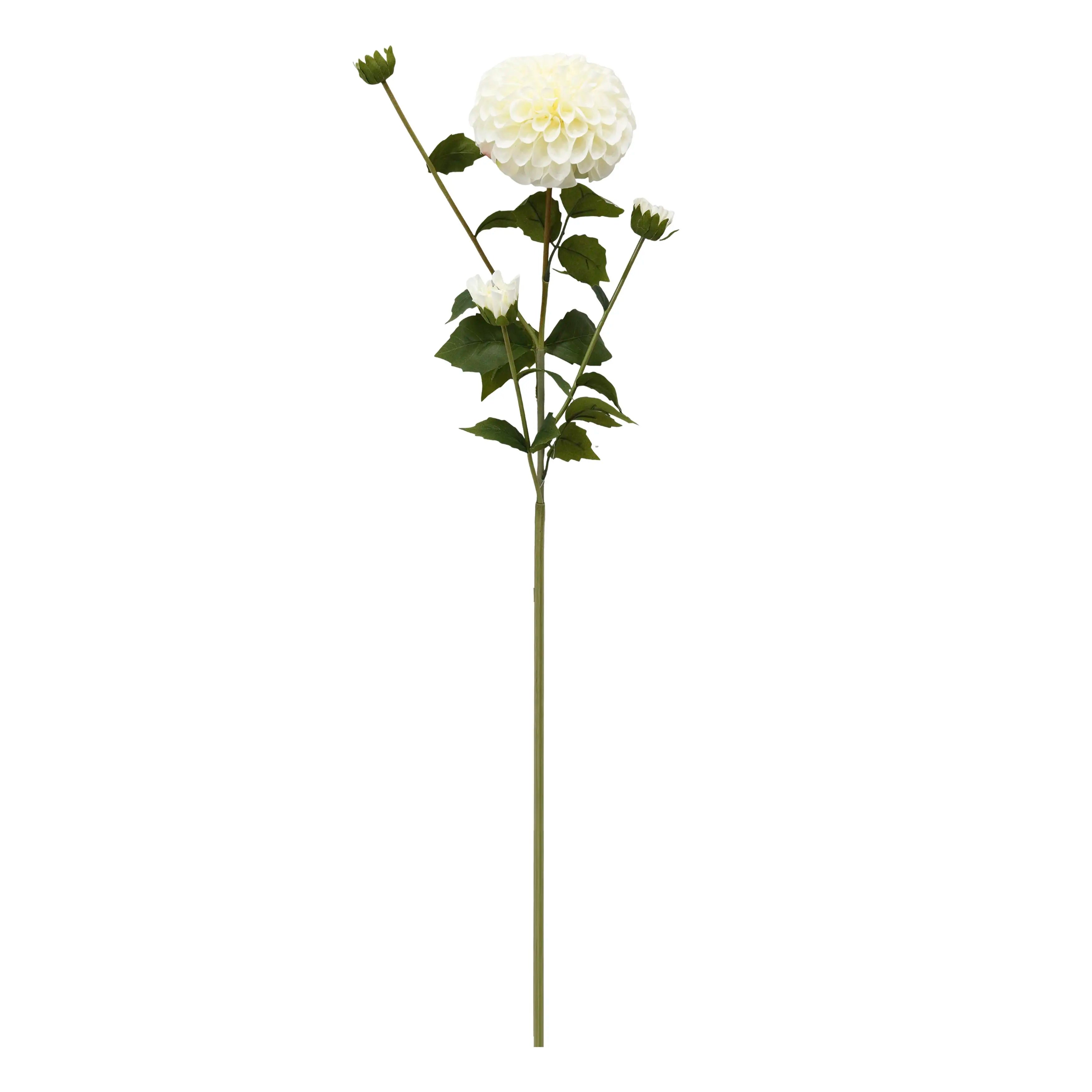 Dahlia Wit 77cm