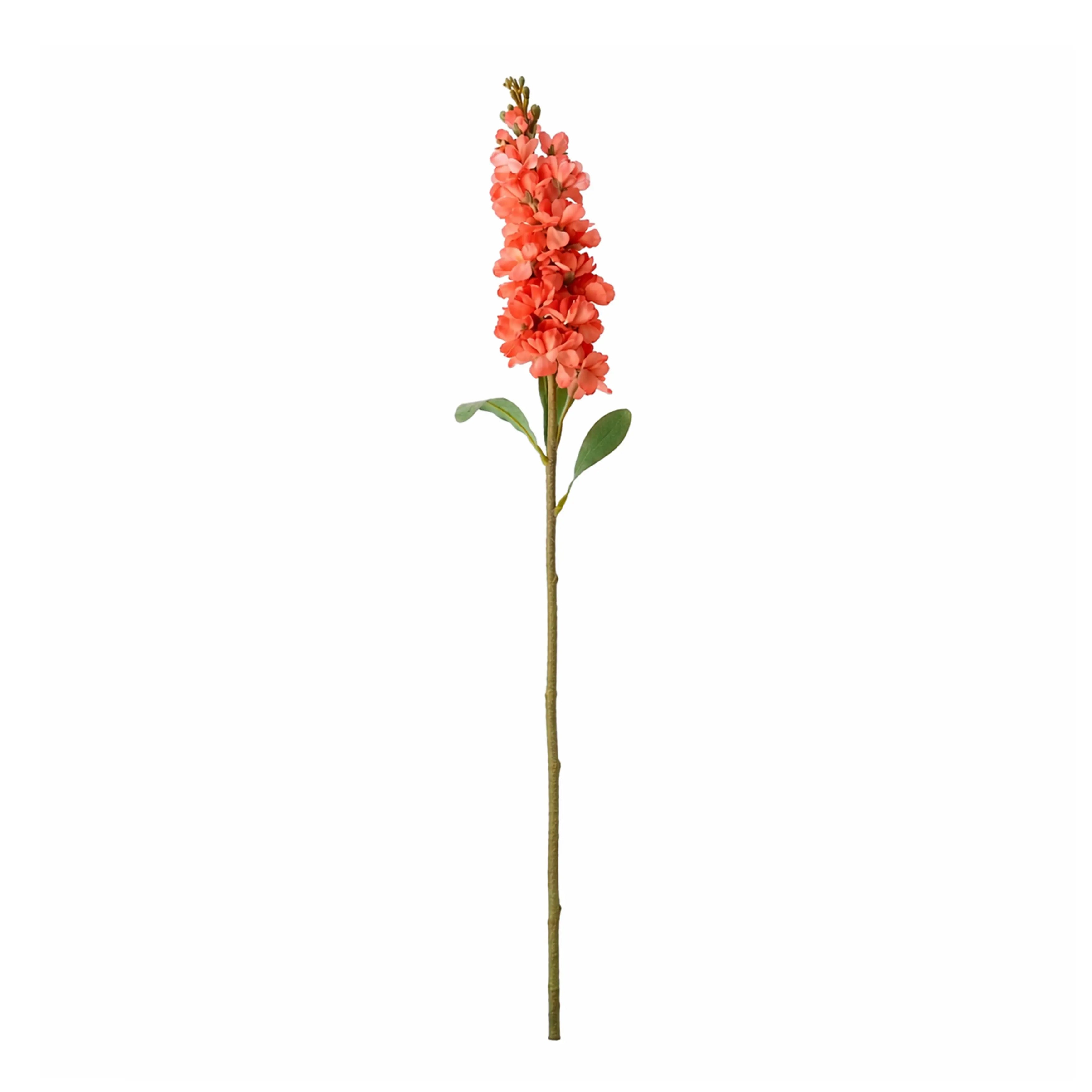 Delphinium Roze 80cm