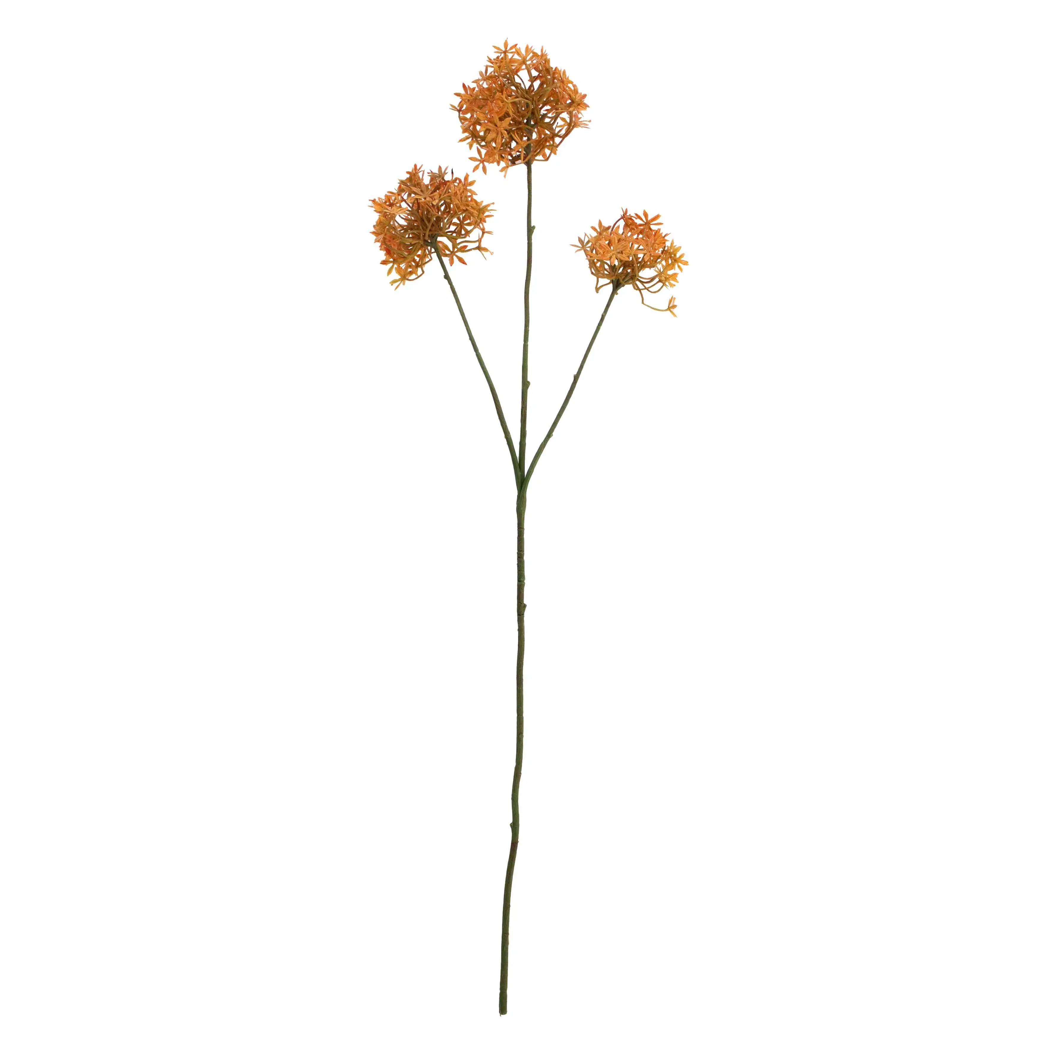 Allium Oranje 77cm