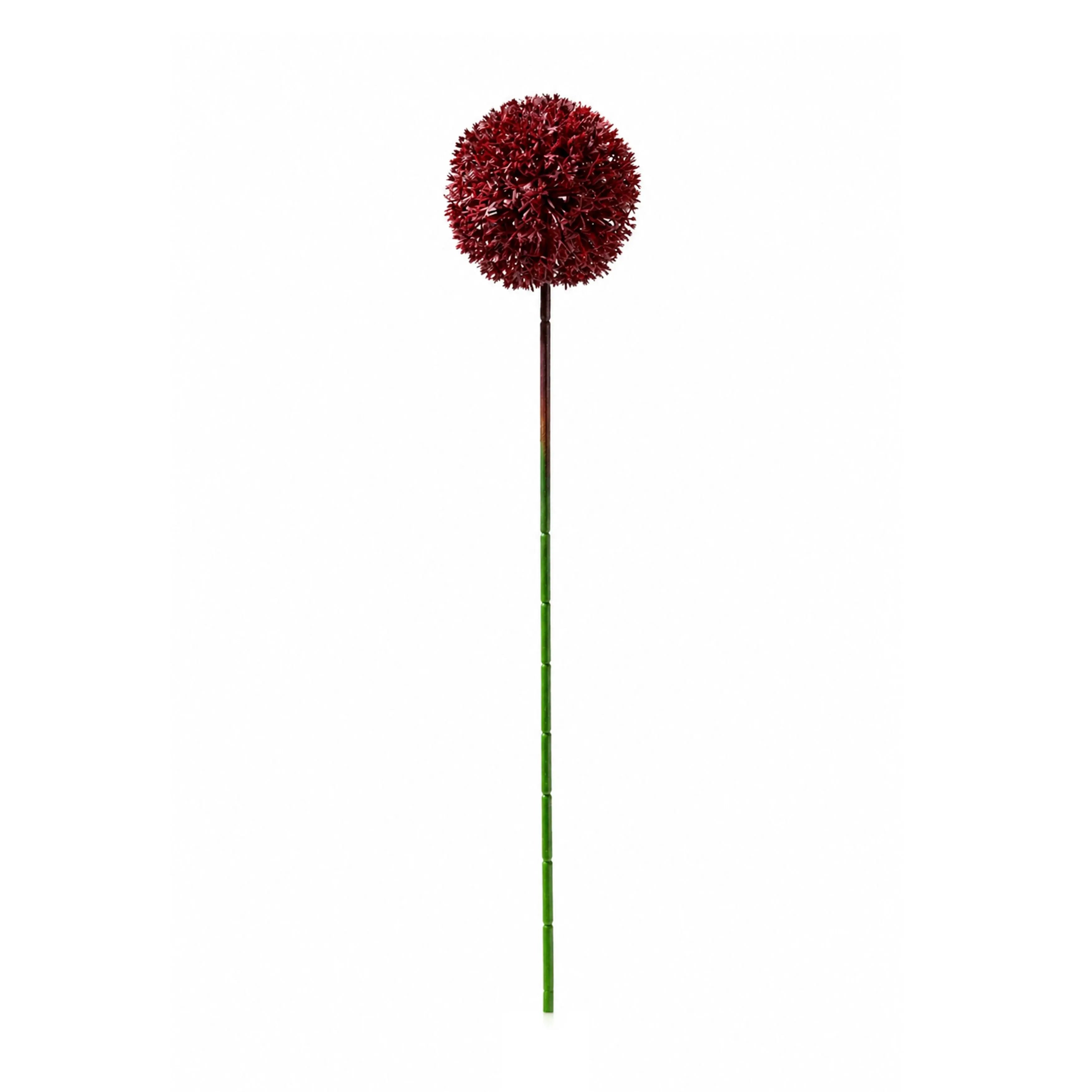 Allium Donnkerrood 54cm