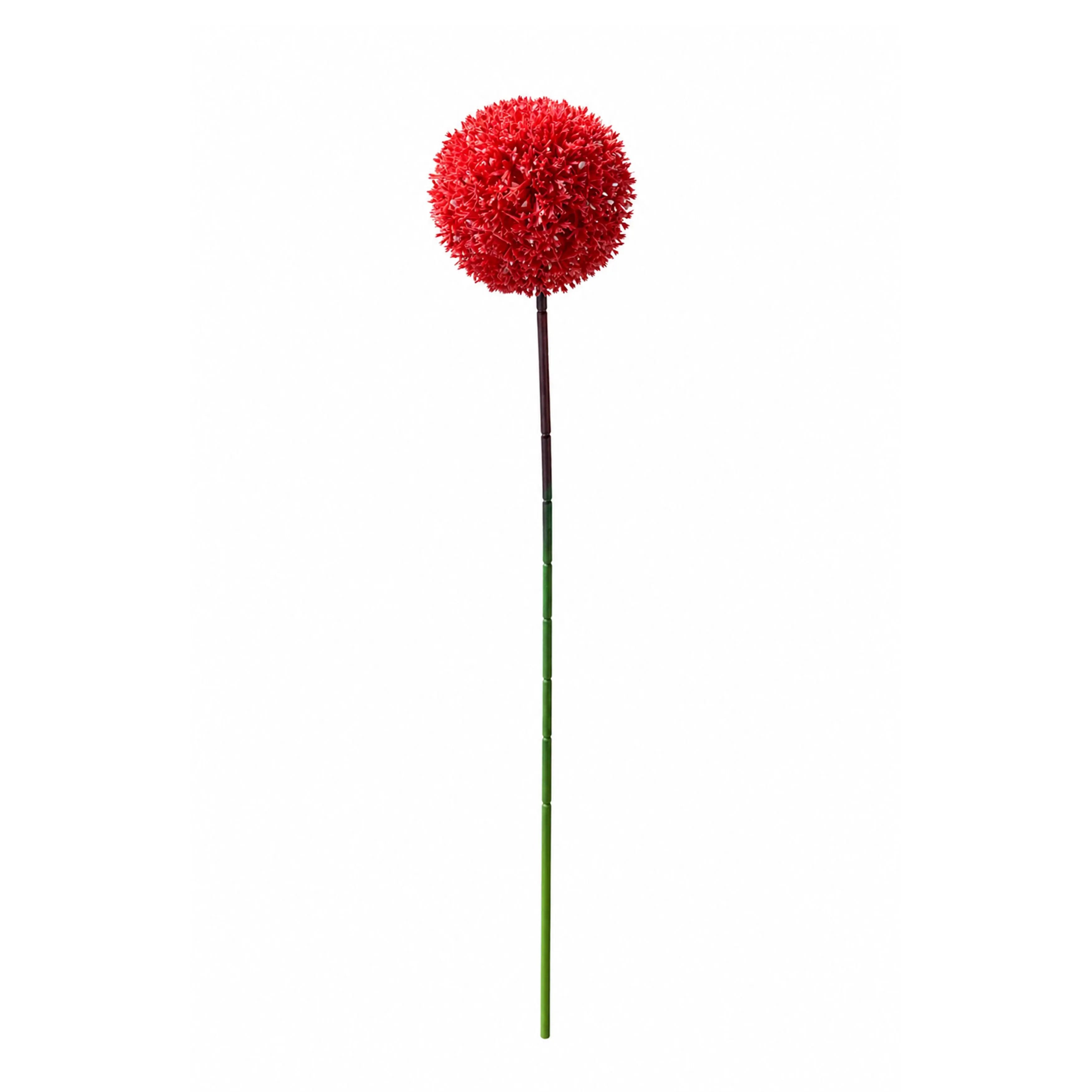 Allium Rood 54cm