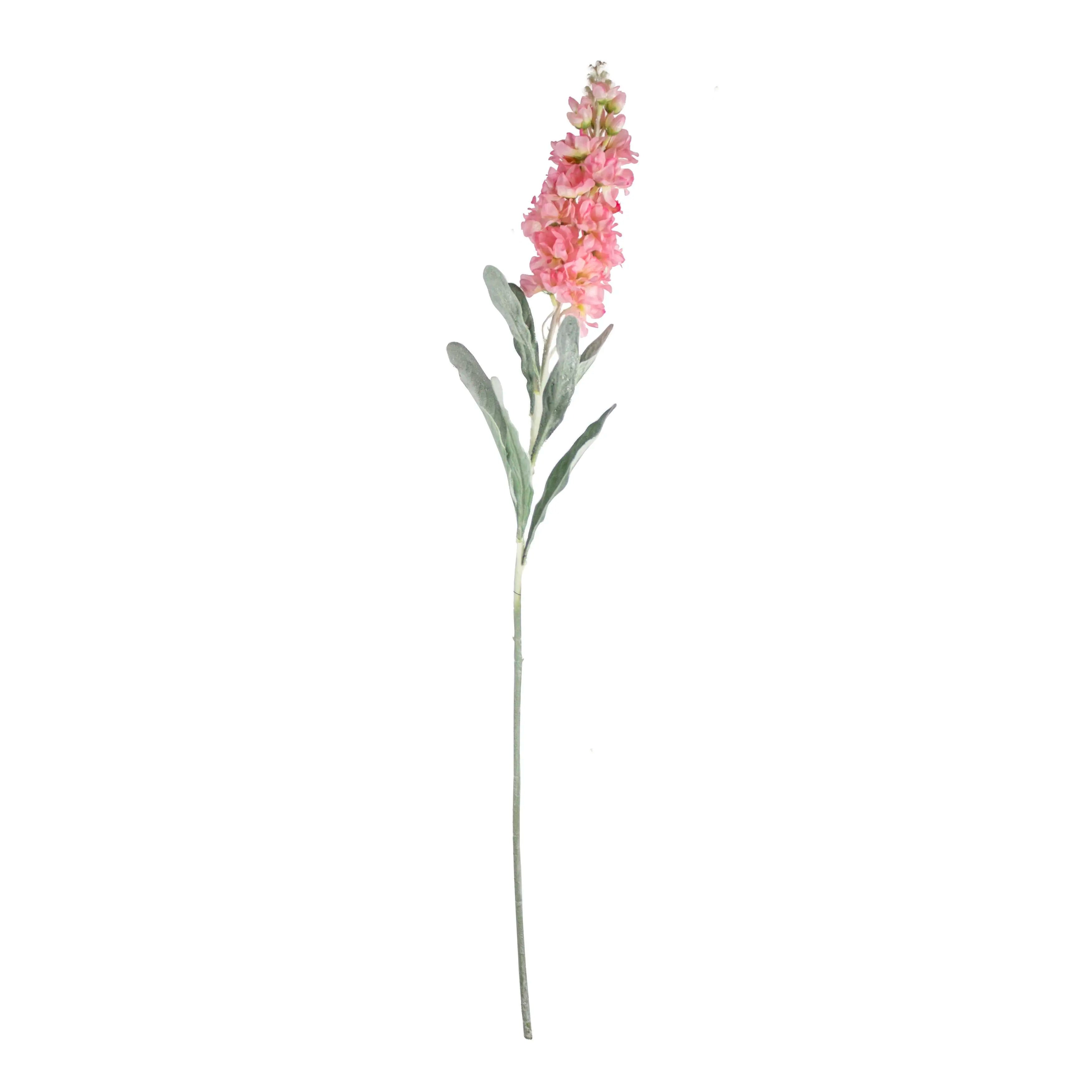Cansolida Lichtroze 80cm