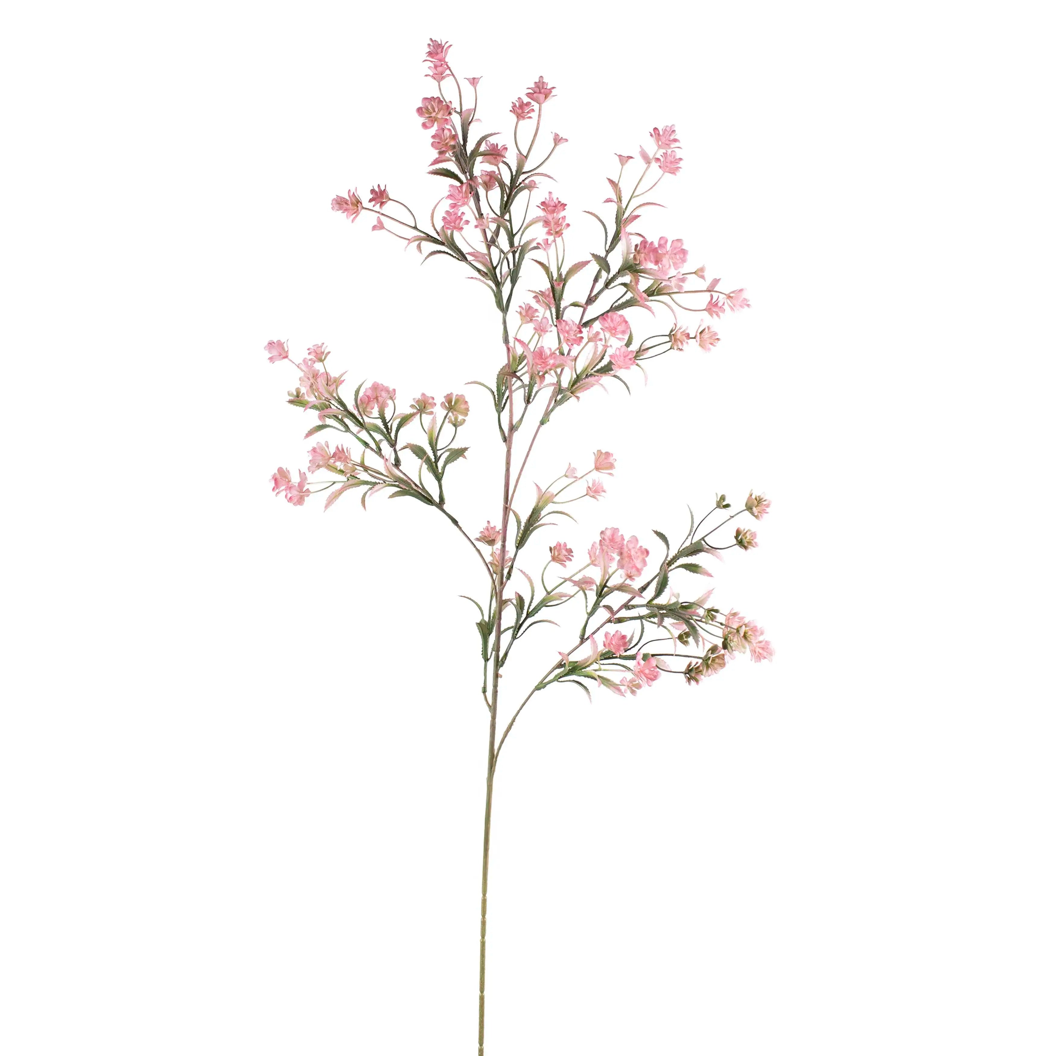 Chamelaucium Roze 96cm
