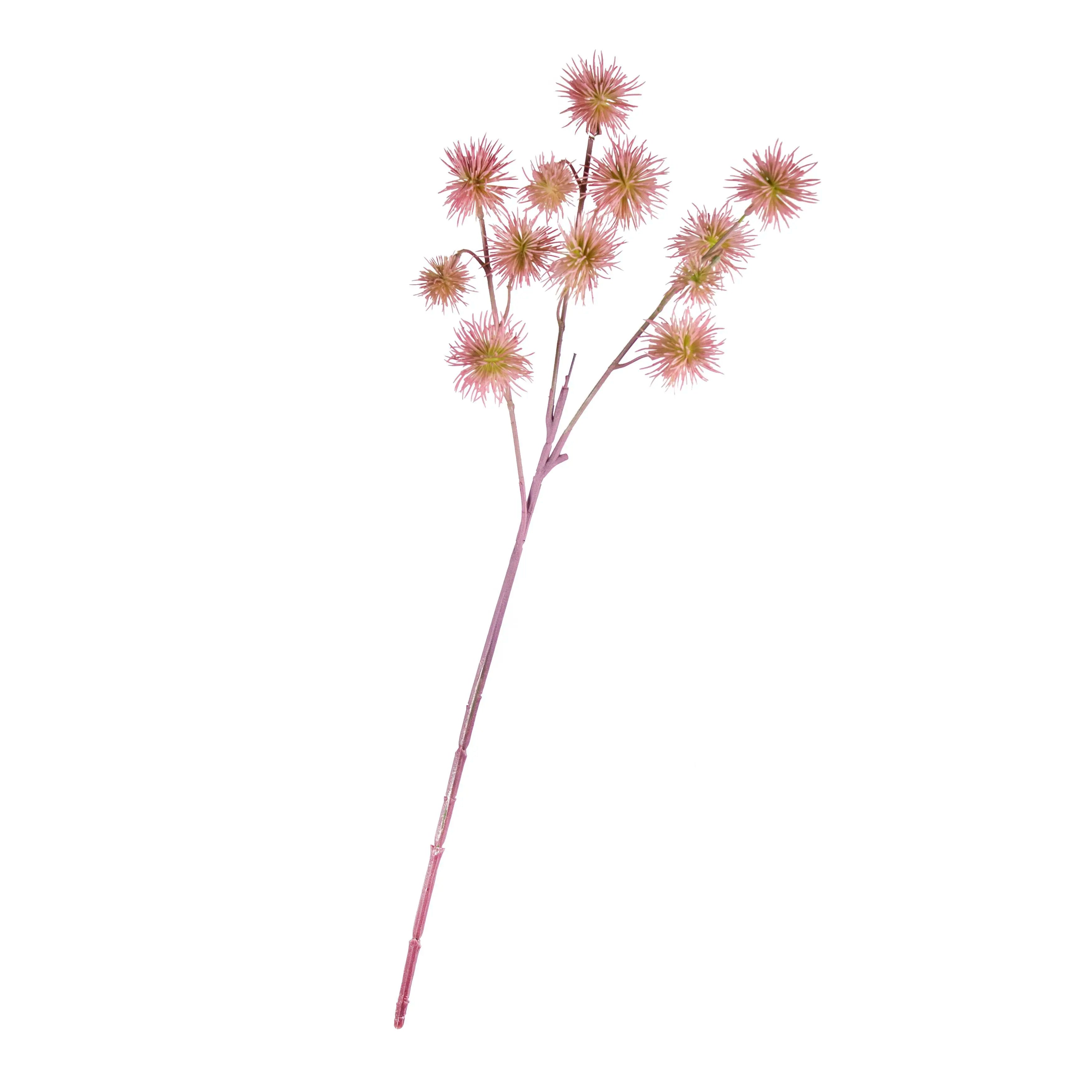 Chestnut Lichtroze 60cm