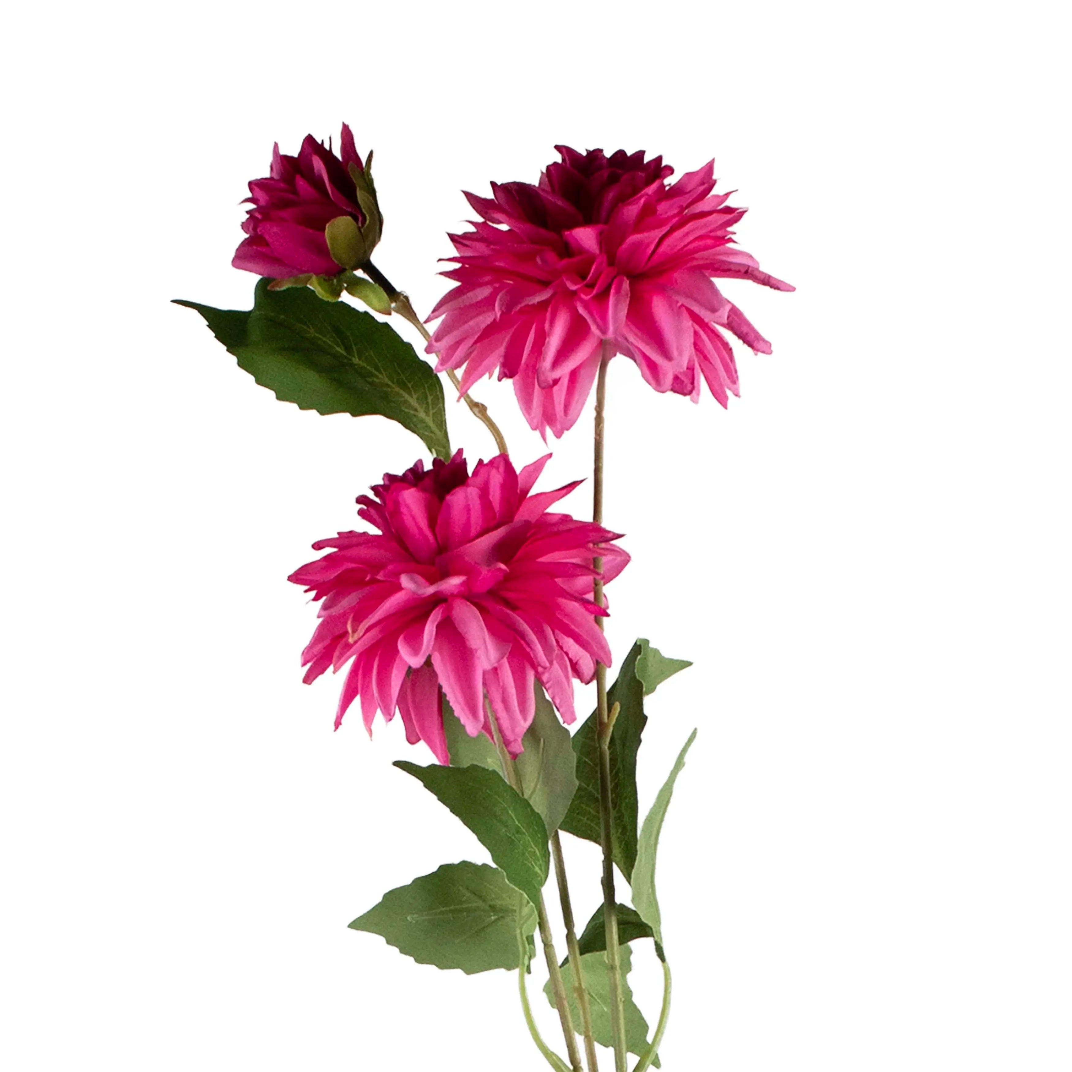 Chrysanthemum Fuchsia 72cm