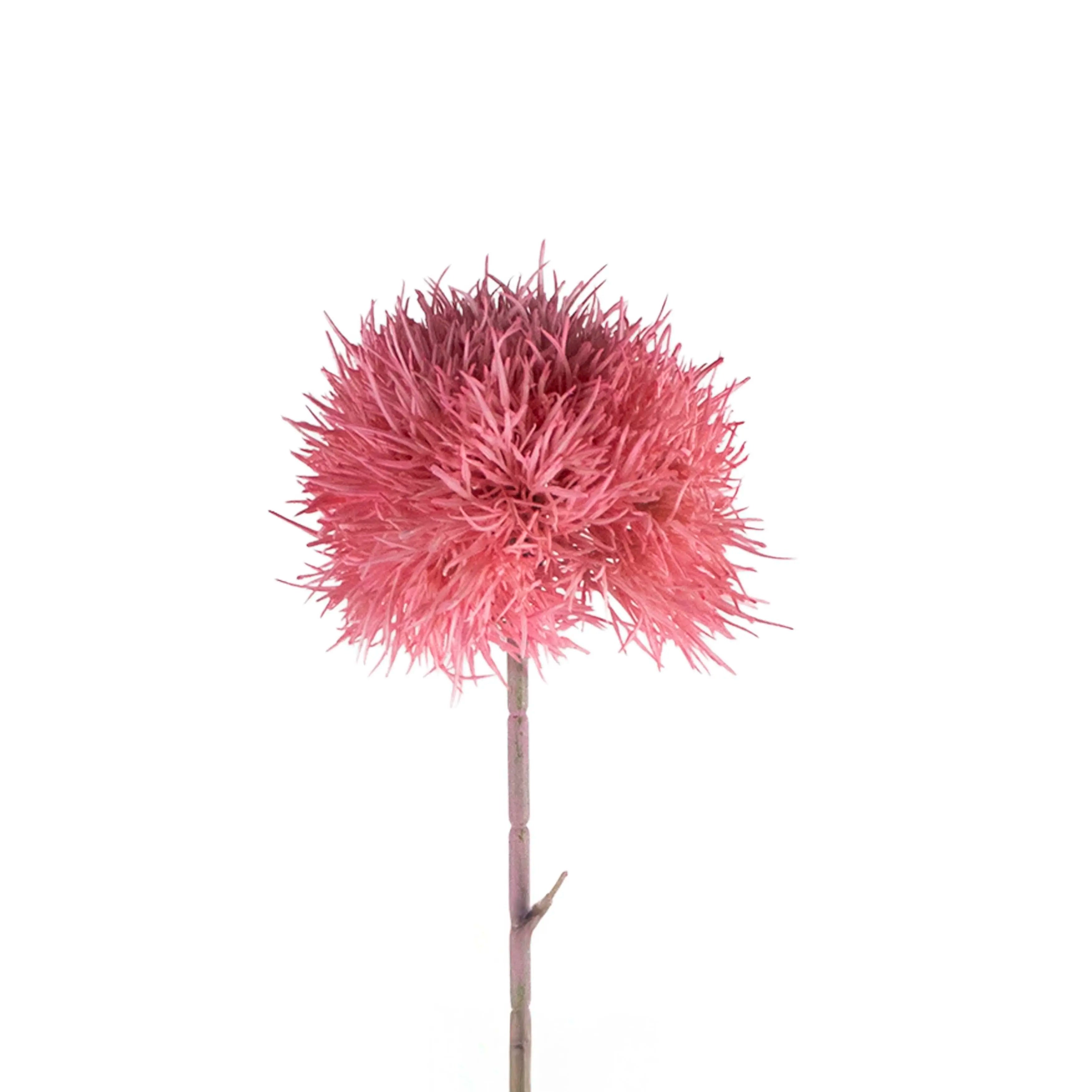 Dandelion Roze 70cm