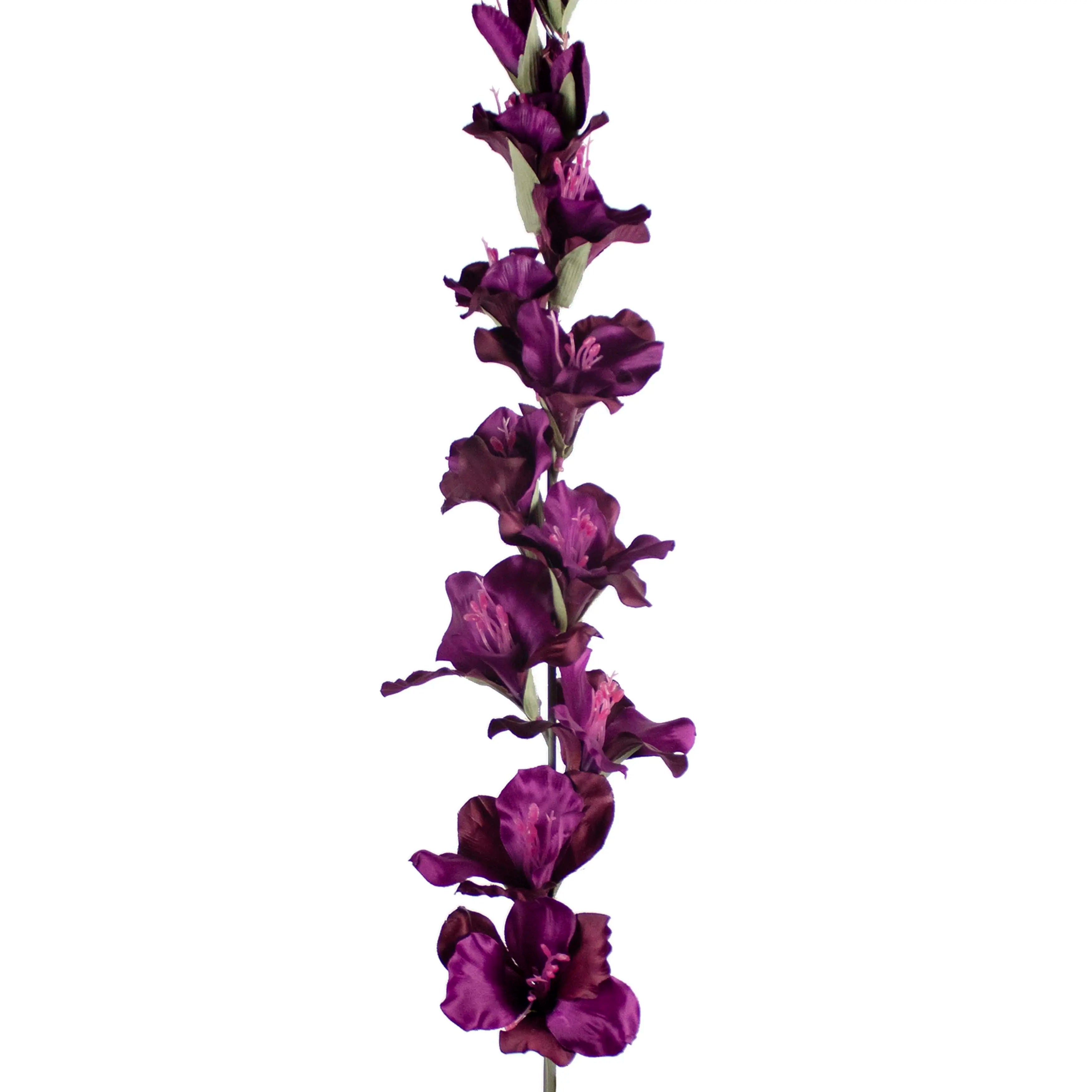 Gladiolus Paars 108cm
