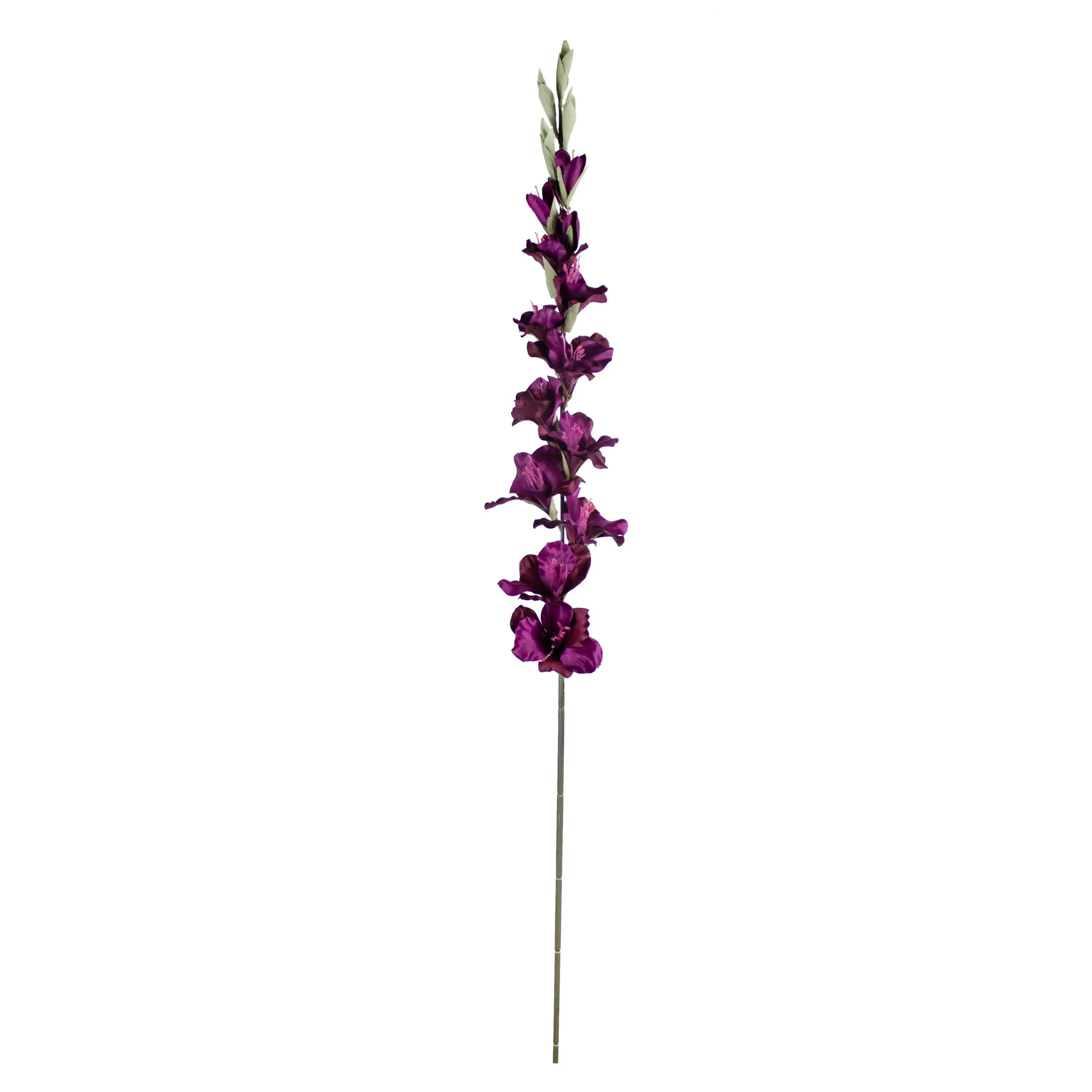 Gladiolus Paars 108cm