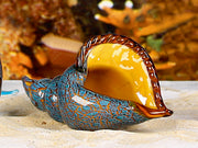 Glazen Schelp Riesenmuschel Decoratie