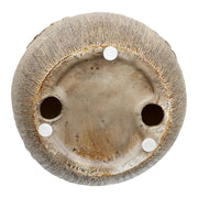 Decoratieve Peer Lausanne 17.5 cm