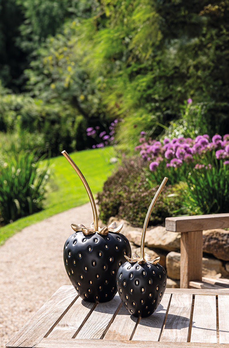 Zwarte Aardbei Decoratie Frutilla