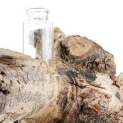 Bangkok Houten Sculptuur met Glas