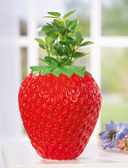 Frutilla Aardbeienvaas Rood 20 cm