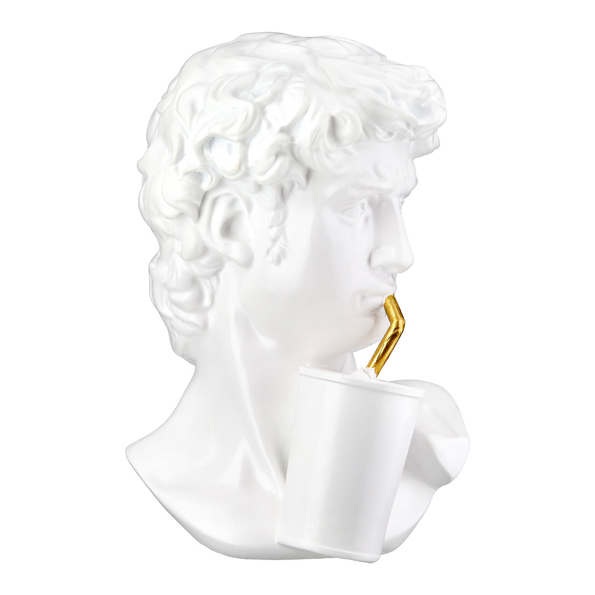 David Buste Sculptuur Poly Wit