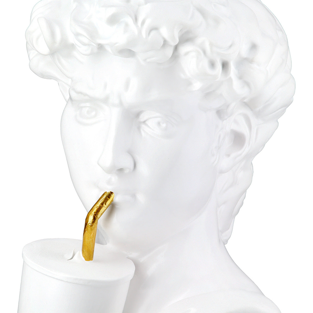 David Buste Sculptuur Poly Wit