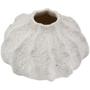 Corallo Bolvaas Crème 7.5 cm