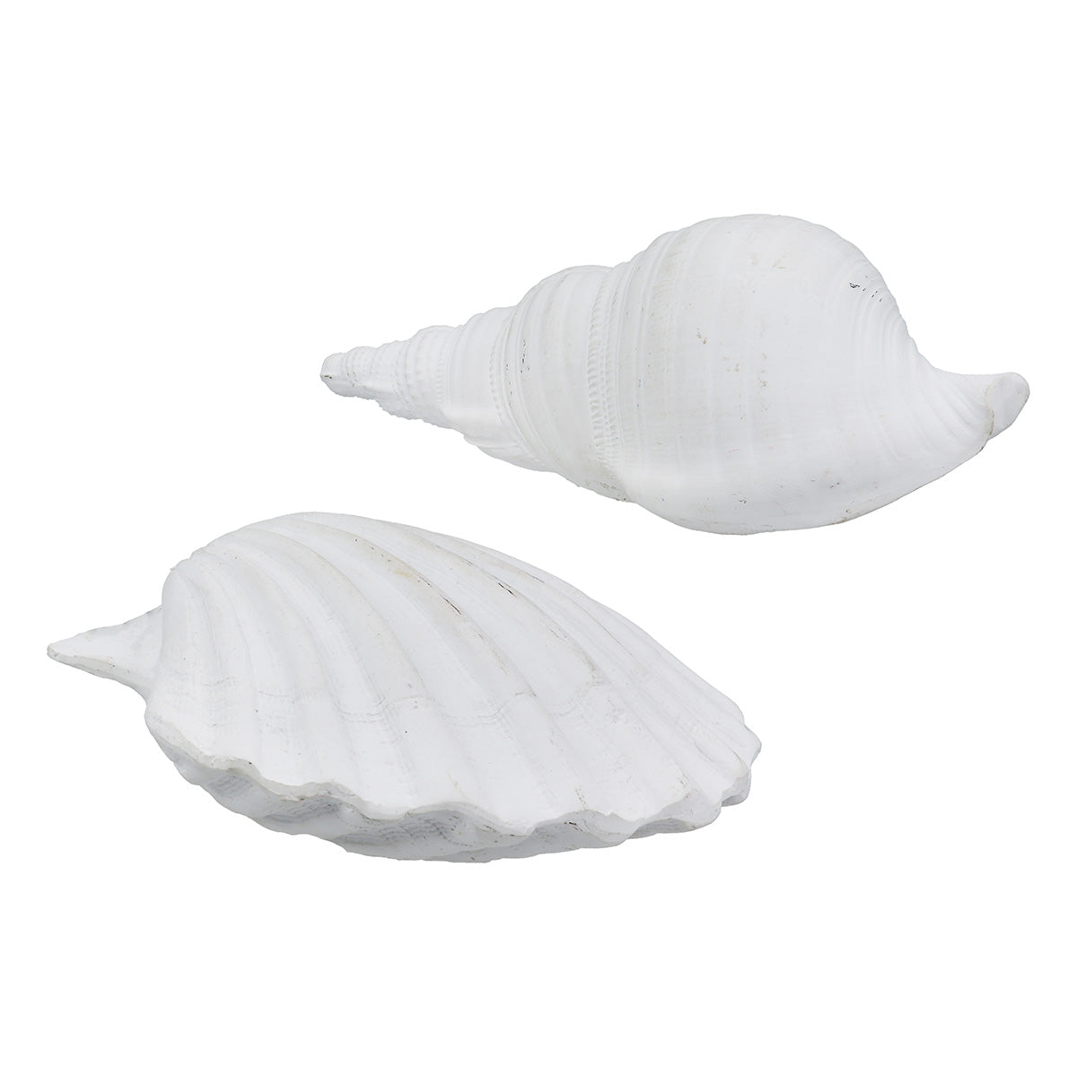 Vintage Schelp Decoratie Wit