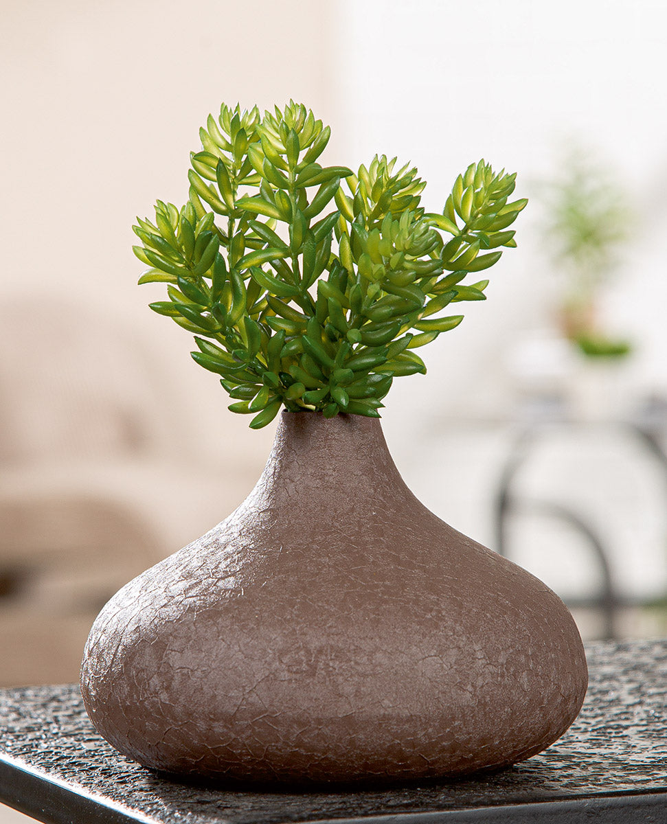 Bolvaas Avanti Bruin 16 cm