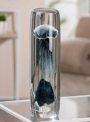 Glazen Kwal Decoratie Zwart Helder