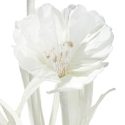 Witte Papieren Bloem Decoratie