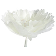 Witte Papieren Bloem Decoratie