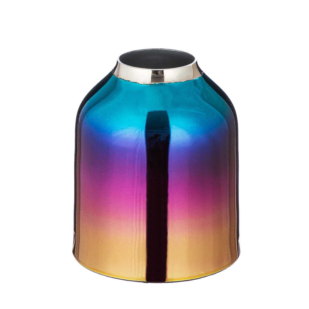 Rainbow Kleurrijke IJzeren Vaas