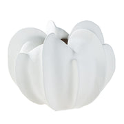 Coquille Organische Vaas Wit 20 cm