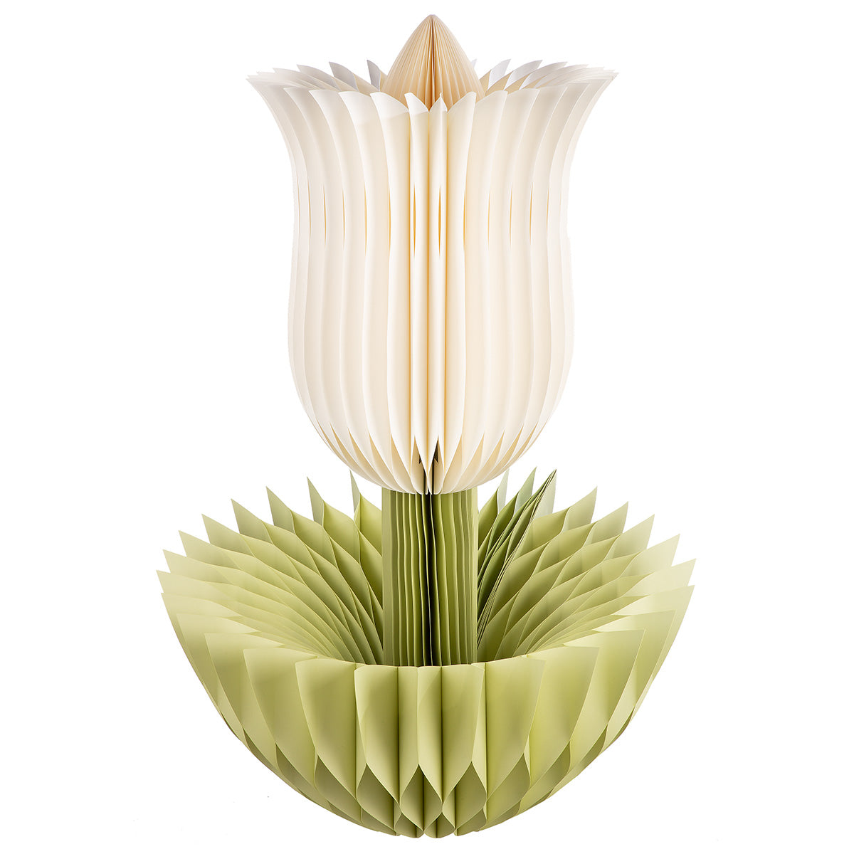 Grote Papieren Tulp Crème 116 cm